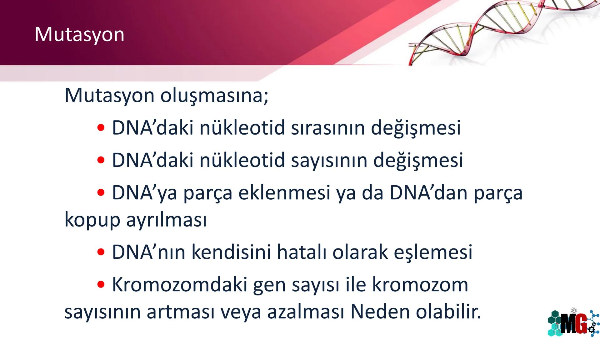 MUTASYON
MODİFİKASYON
Murat GÜRBÜZ
*MG Mutasyon
• Genetik özelliklerin yavru bireylere aktarılması DNA ile gerçekleşir. DNA,
hücre bölünmesi