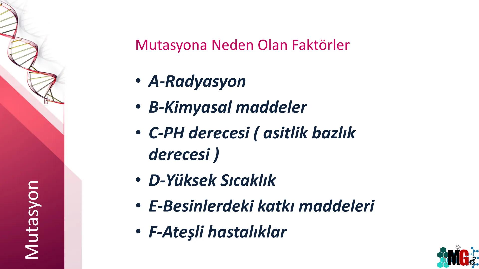 MUTASYON
MODİFİKASYON
Murat GÜRBÜZ
*MG Mutasyon
• Genetik özelliklerin yavru bireylere aktarılması DNA ile gerçekleşir. DNA,
hücre bölünmesi