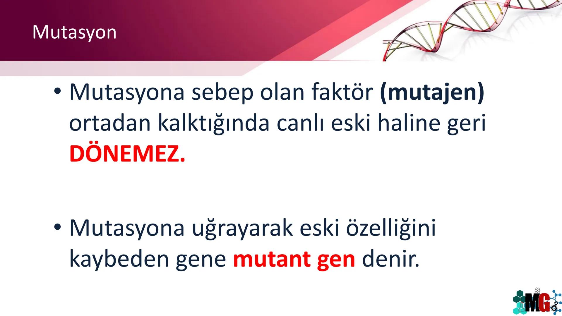 MUTASYON
MODİFİKASYON
Murat GÜRBÜZ
*MG Mutasyon
• Genetik özelliklerin yavru bireylere aktarılması DNA ile gerçekleşir. DNA,
hücre bölünmesi