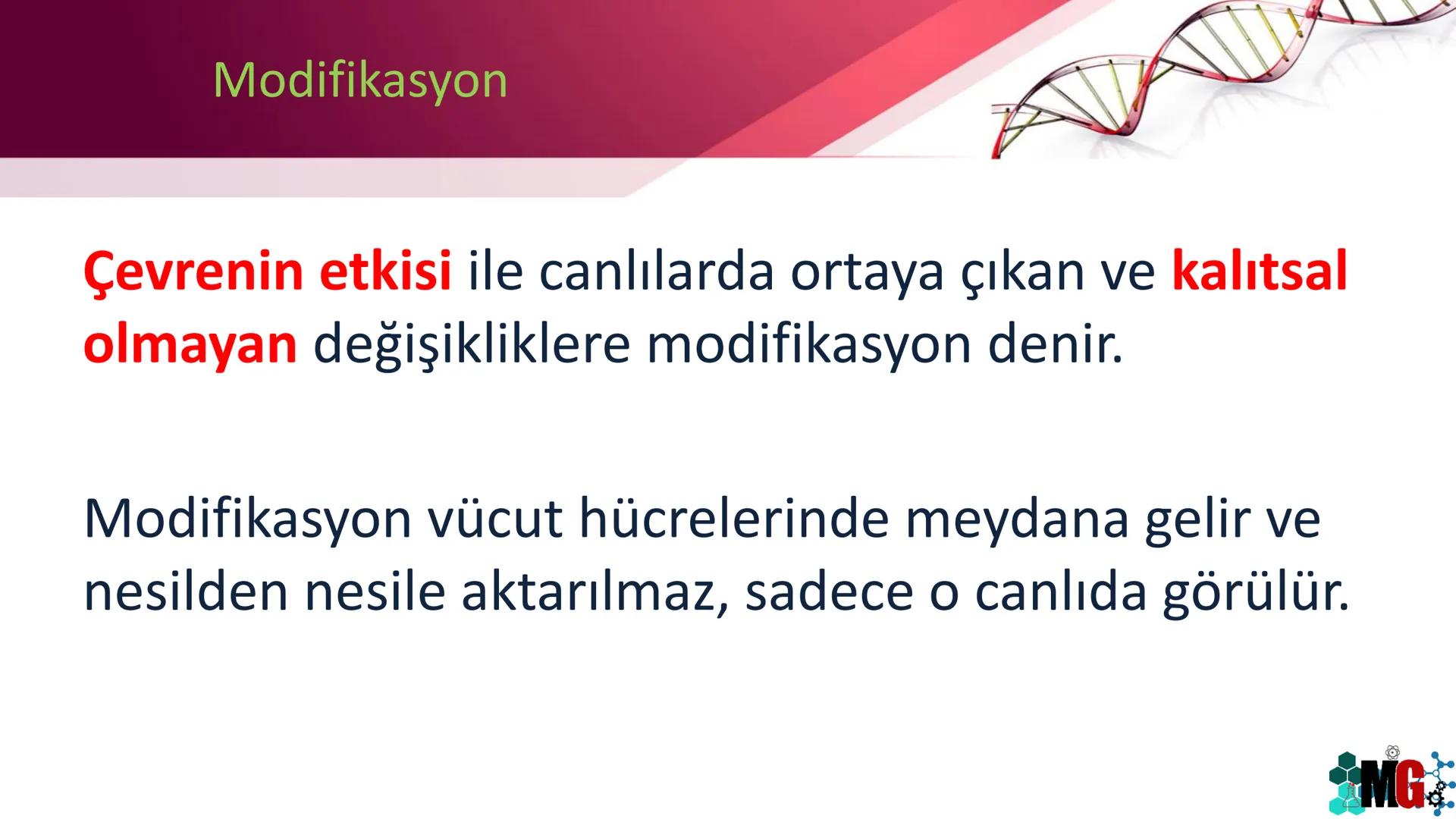 MUTASYON
MODİFİKASYON
Murat GÜRBÜZ
*MG Mutasyon
• Genetik özelliklerin yavru bireylere aktarılması DNA ile gerçekleşir. DNA,
hücre bölünmesi