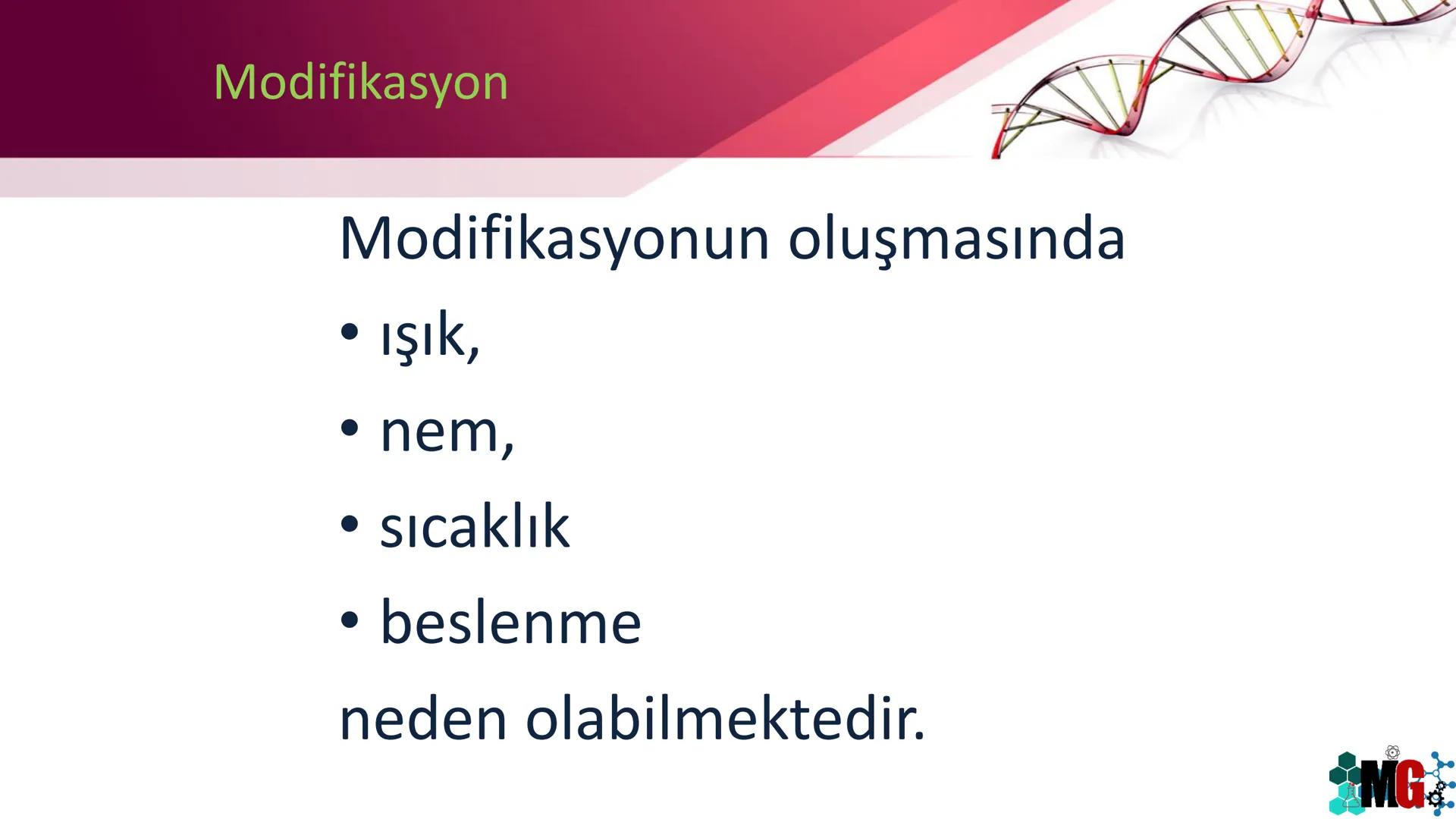 MUTASYON
MODİFİKASYON
Murat GÜRBÜZ
*MG Mutasyon
• Genetik özelliklerin yavru bireylere aktarılması DNA ile gerçekleşir. DNA,
hücre bölünmesi