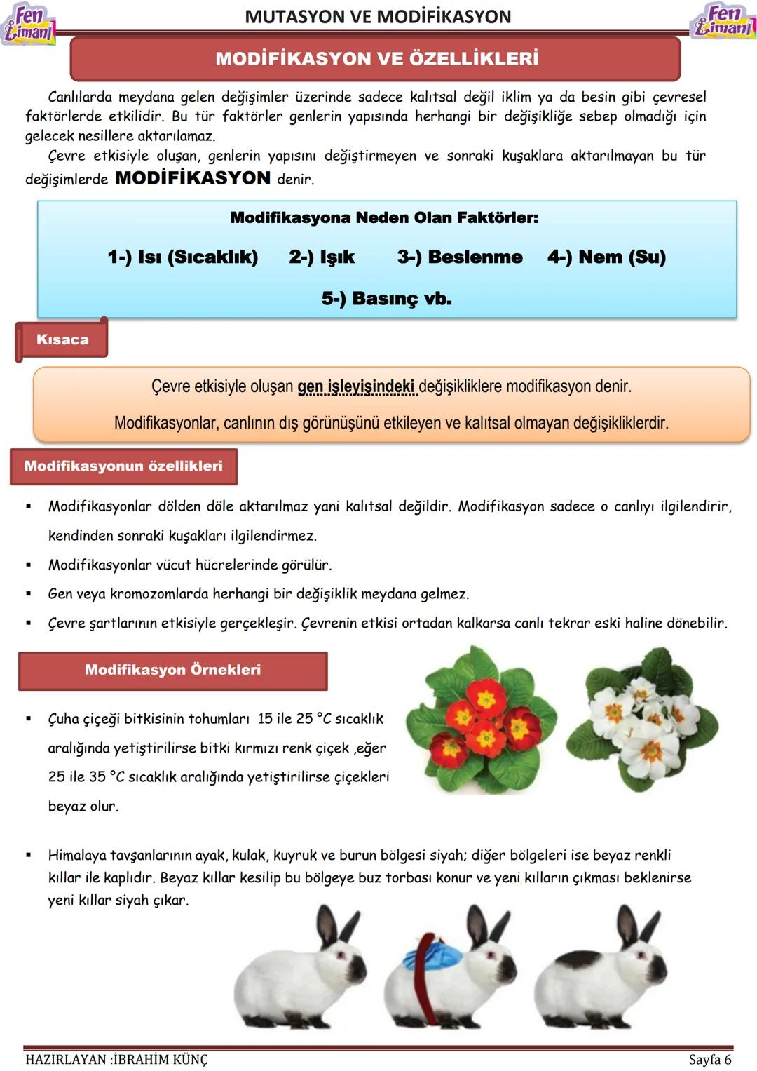 # Dna ve Genetik Kod
## Hücre ve Temel Kısımları
Fen
Liman
Bir canlının canlılık özelliğini taşıyan en küçük yapı birimine HÜCRE denir. H