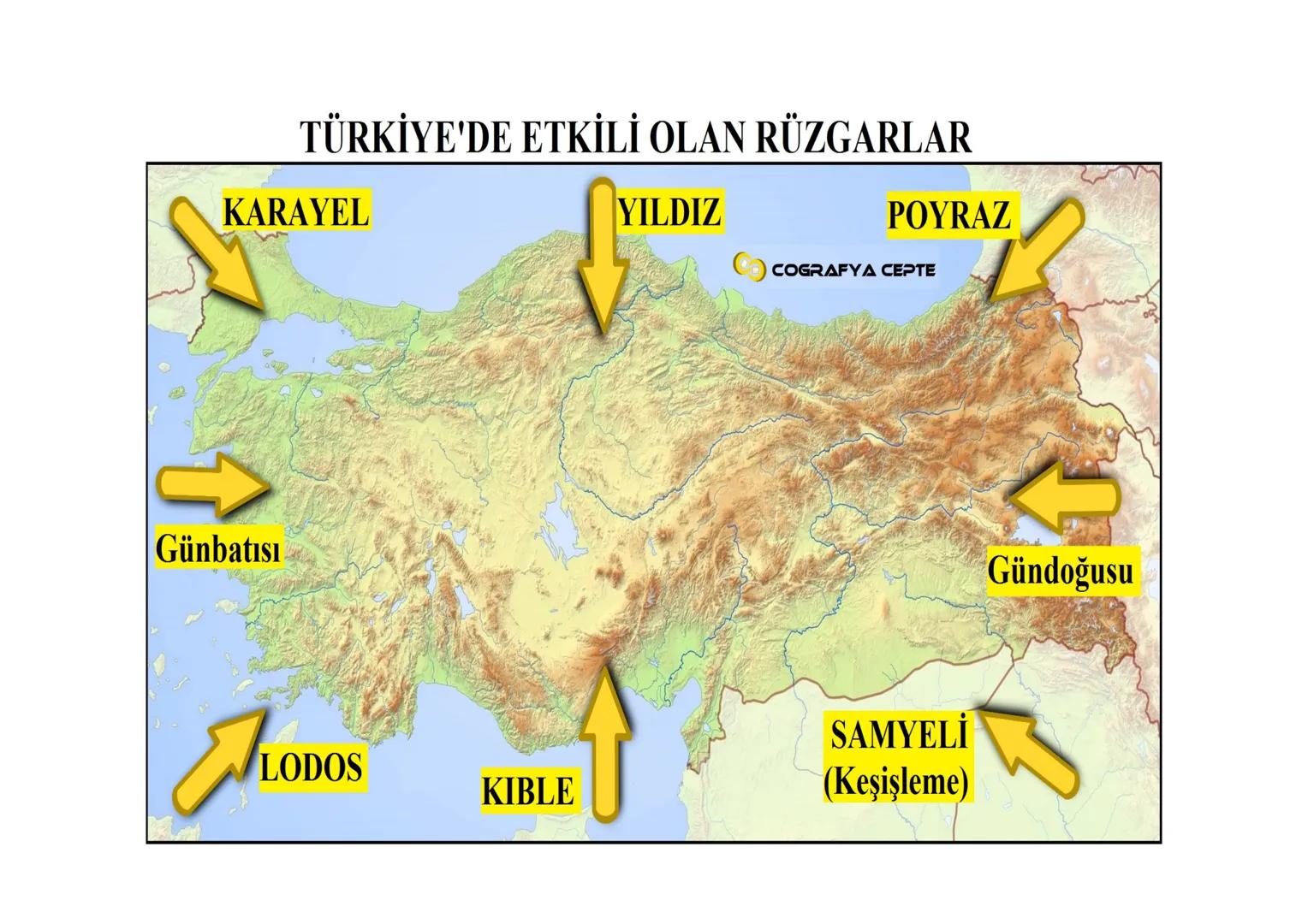 KARAMENDERES
BAKIRÇAY
ERGENE
SUSURLUK
GEDİZ
K.MENDERES
B.MENDERES
DALAMAN
AKSU
FİLYOS
SAKARYA
KIZILIRMAK
YEŞİLIRMA
GÜRCİSTAN
KELKİT
KARASU
Ç