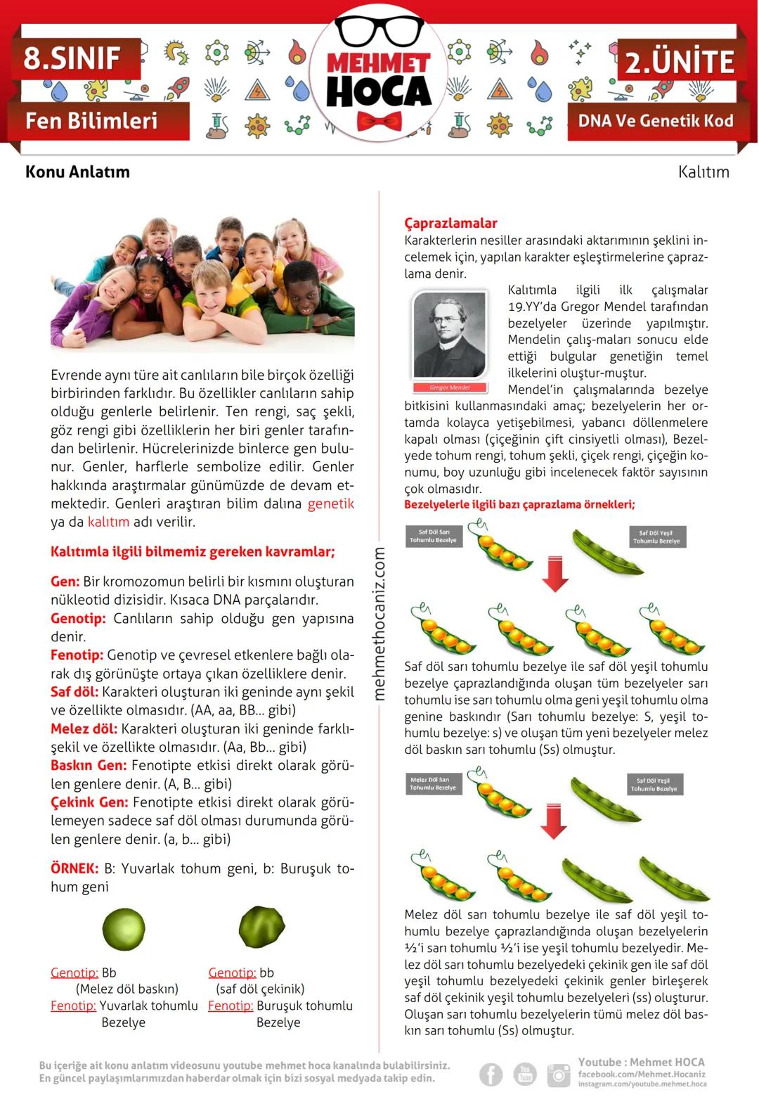 8. sınıf fen bilimleri kalıtım