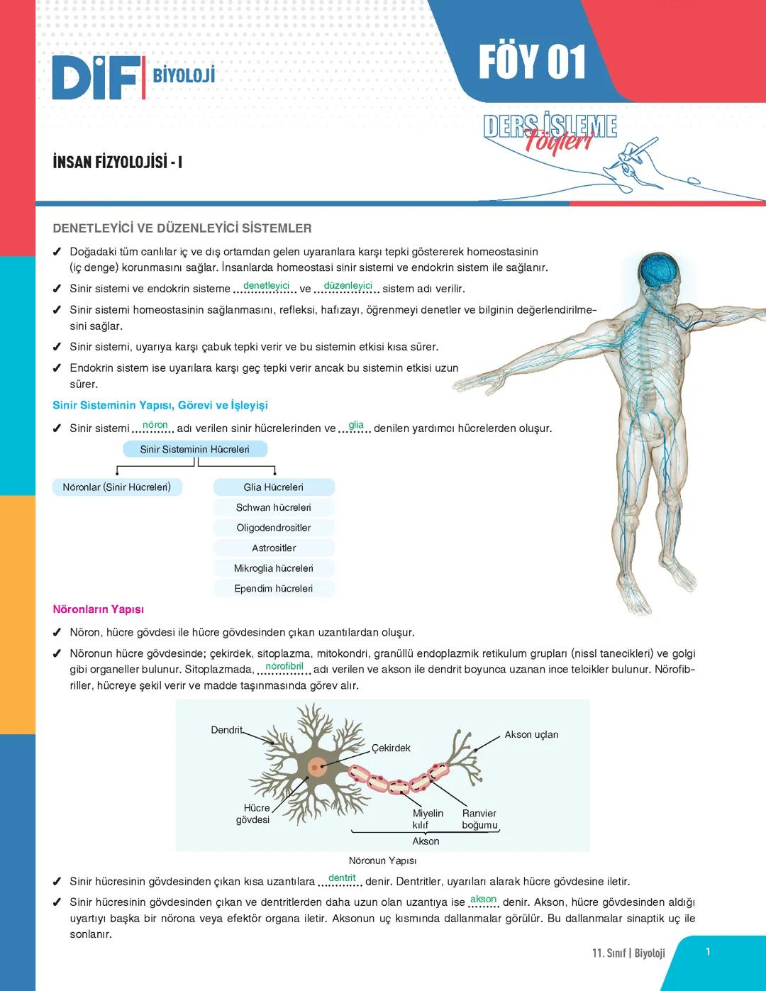 BİYOLOJİ SİSTEMLER