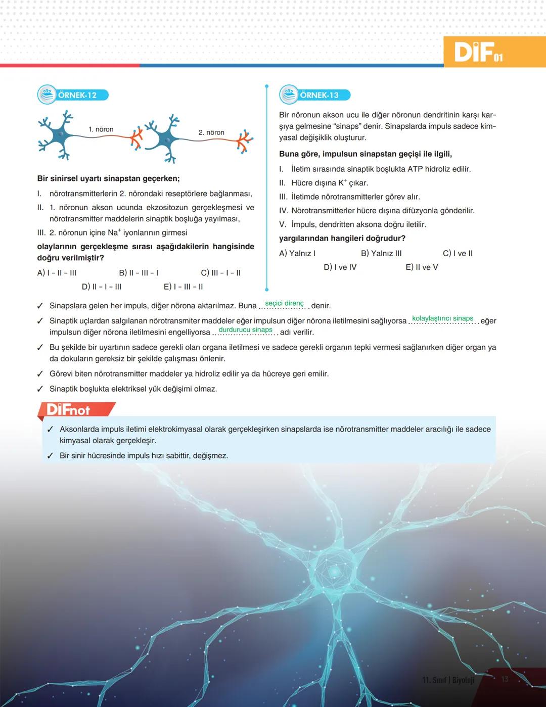 DIF BİYOLOJİ
FÖY 01
DERS SLEME
Föyleri
İNSAN FİZYOLOJİSİ - 1
DENETLEYİCİ VE DÜZENLEYİCİ SİSTEMLER
✓ Doğadaki tüm canlılar iç ve dış ortamdan