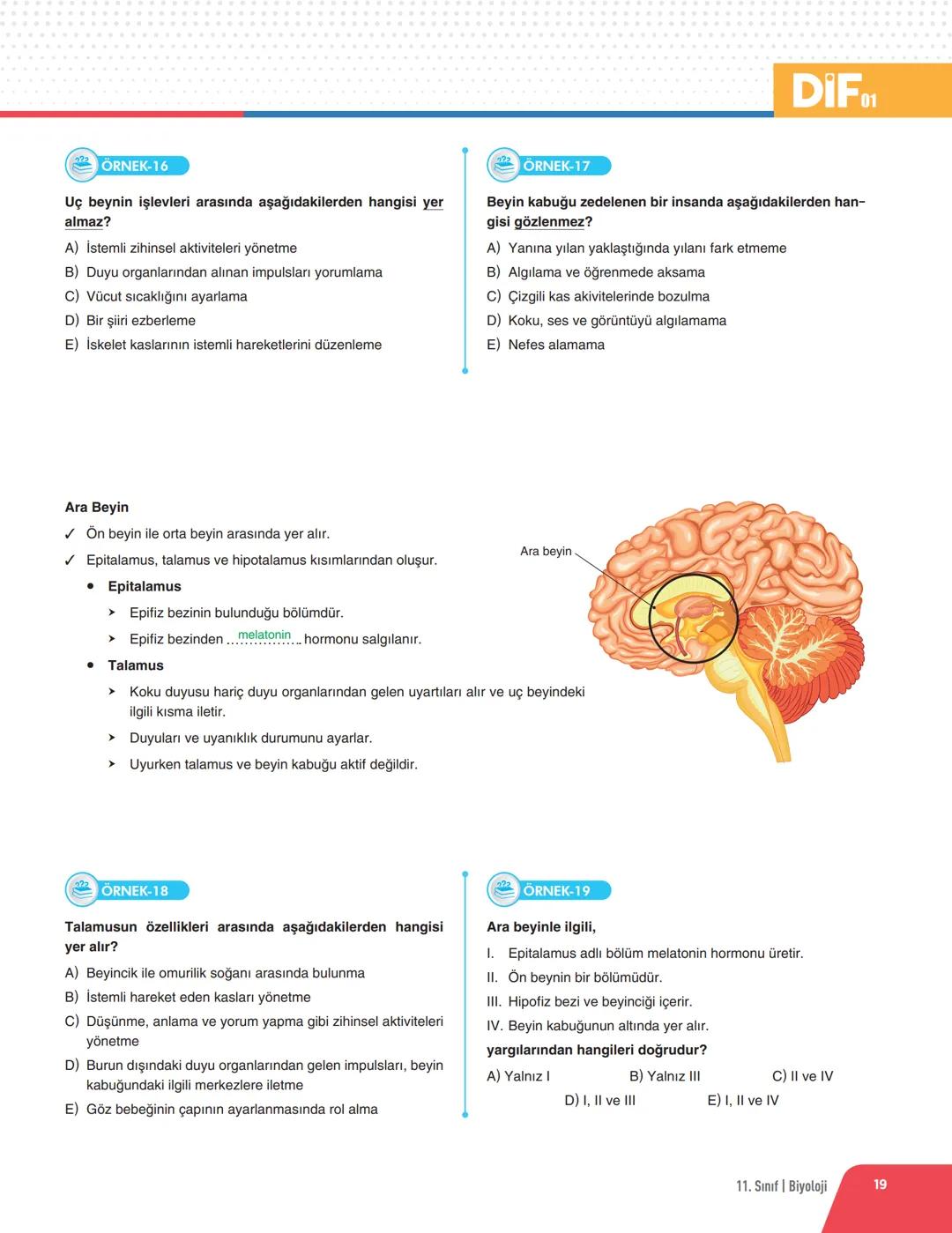 DIF BİYOLOJİ
FÖY 01
DERS SLEME
Föyleri
İNSAN FİZYOLOJİSİ - 1
DENETLEYİCİ VE DÜZENLEYİCİ SİSTEMLER
✓ Doğadaki tüm canlılar iç ve dış ortamdan