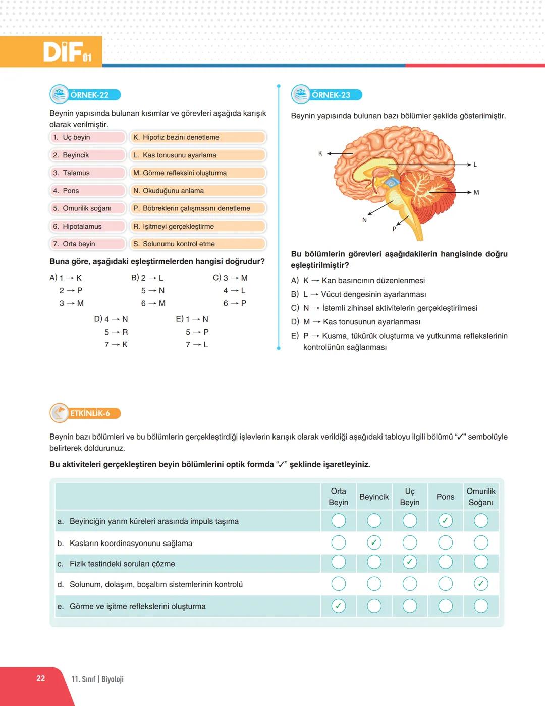 DIF BİYOLOJİ
FÖY 01
DERS SLEME
Föyleri
İNSAN FİZYOLOJİSİ - 1
DENETLEYİCİ VE DÜZENLEYİCİ SİSTEMLER
✓ Doğadaki tüm canlılar iç ve dış ortamdan