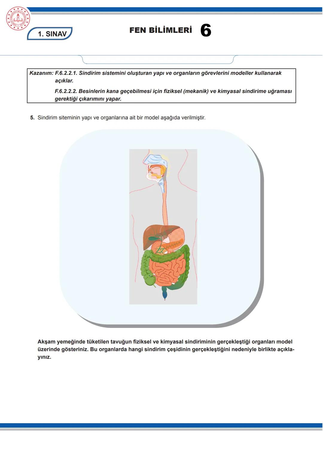 FEN BİLİMLERİ 6
6. SINIF FEN BİLİMLERİ DERSİ
1. DÖNEM 1. ORTAK YAZILI SENARYOLARINA YÖNELİK SORU ÖRNEKLERİ
Senaryolar, okul genelinde yapı