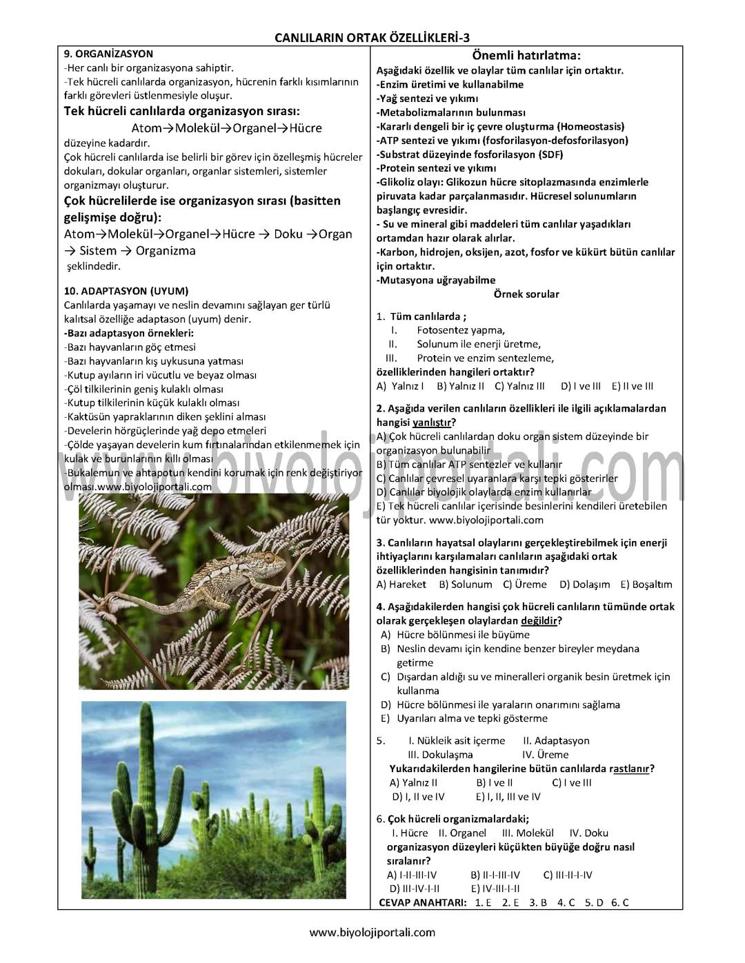 Canlıların ortak özellikleri