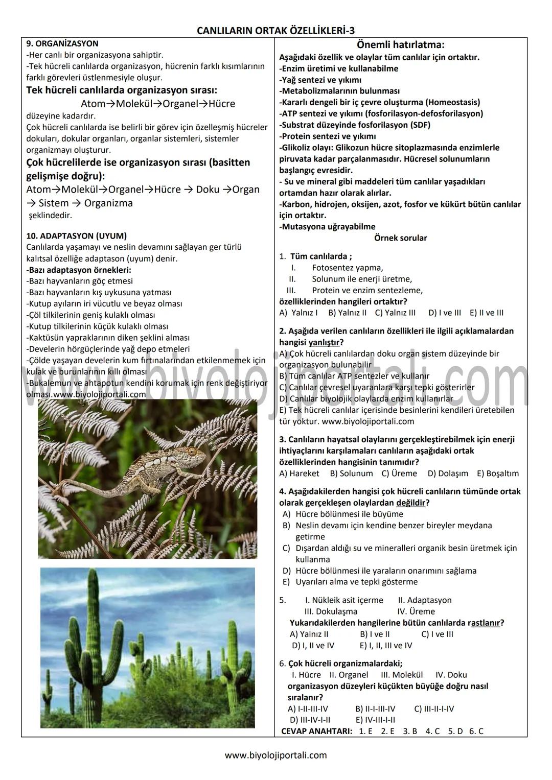 9. ORGANİZASYON
-Her canlı bir organizasyona sahiptir.
CANLILARIN ORTAK ÖZELLİKLERİ-3
Önemli hatırlatma:
-Tek hücreli canlılarda organizasyo
