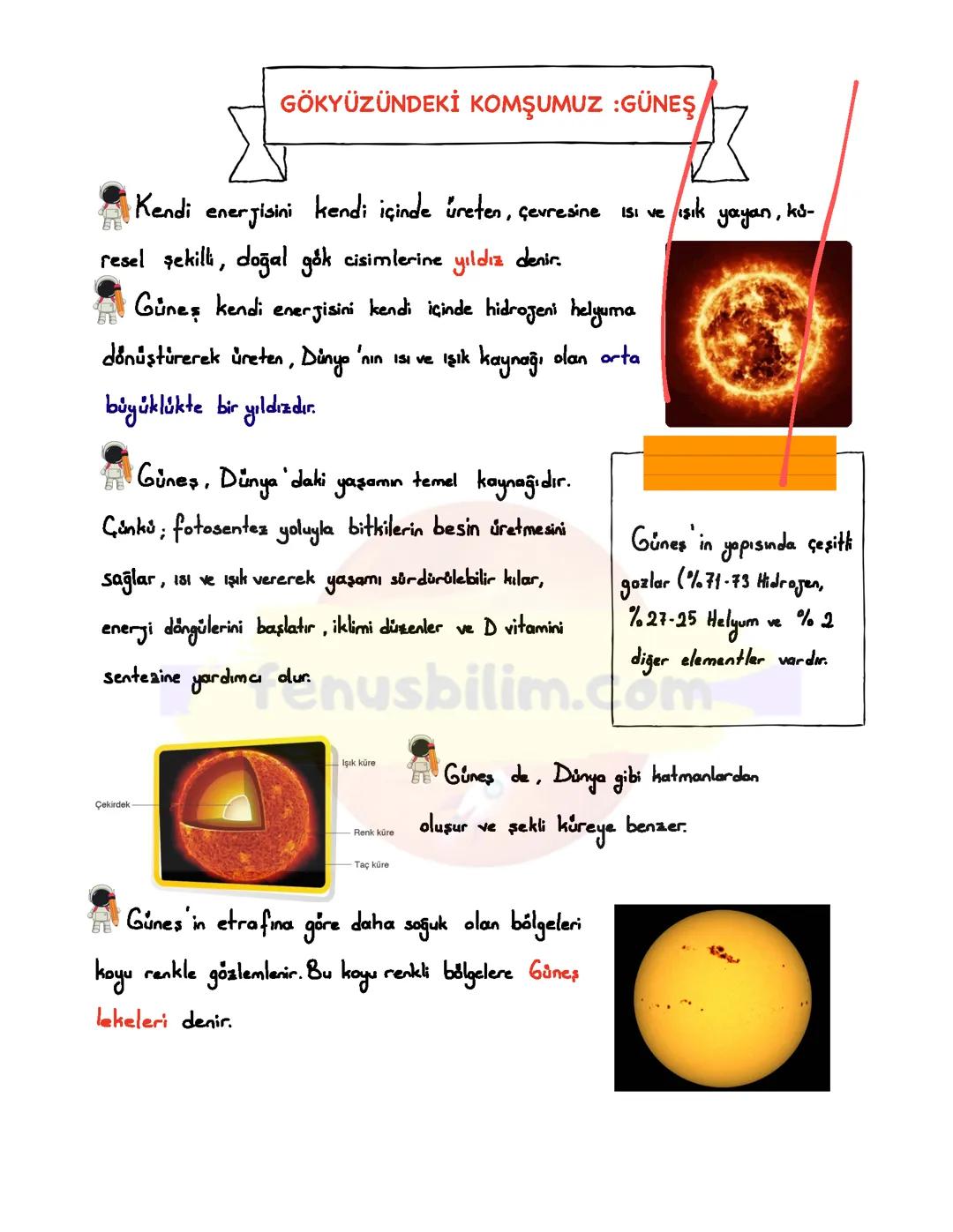 5. Sınıf 1. Ünite