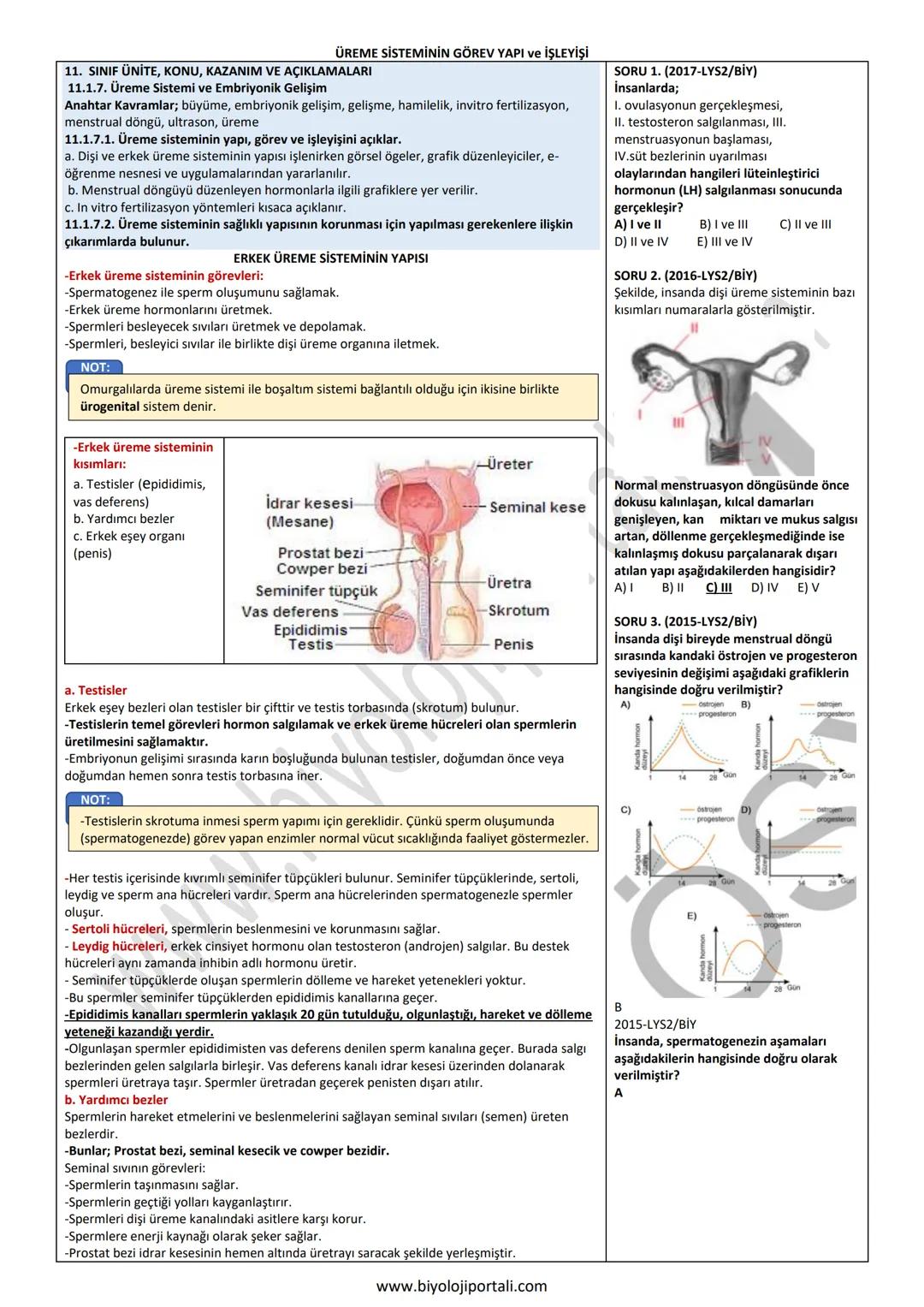 ÜREME SİSTEMİNİN GÖREV YAPI ve İŞLEYİŞİ
11. SINIF ÜNİTE, KONU, KAZANIM VE AÇIKLAMALARI
11.1.7. Üreme Sistemi ve Embriyonik Gelişim
Anahtar K
