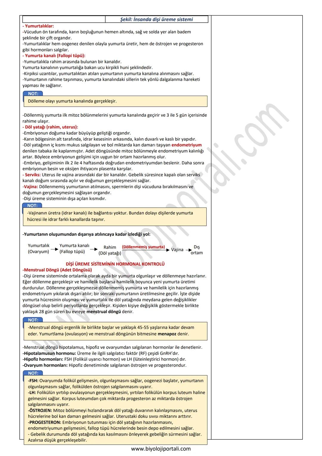 ÜREME SİSTEMİNİN GÖREV YAPI ve İŞLEYİŞİ
11. SINIF ÜNİTE, KONU, KAZANIM VE AÇIKLAMALARI
11.1.7. Üreme Sistemi ve Embriyonik Gelişim
Anahtar K