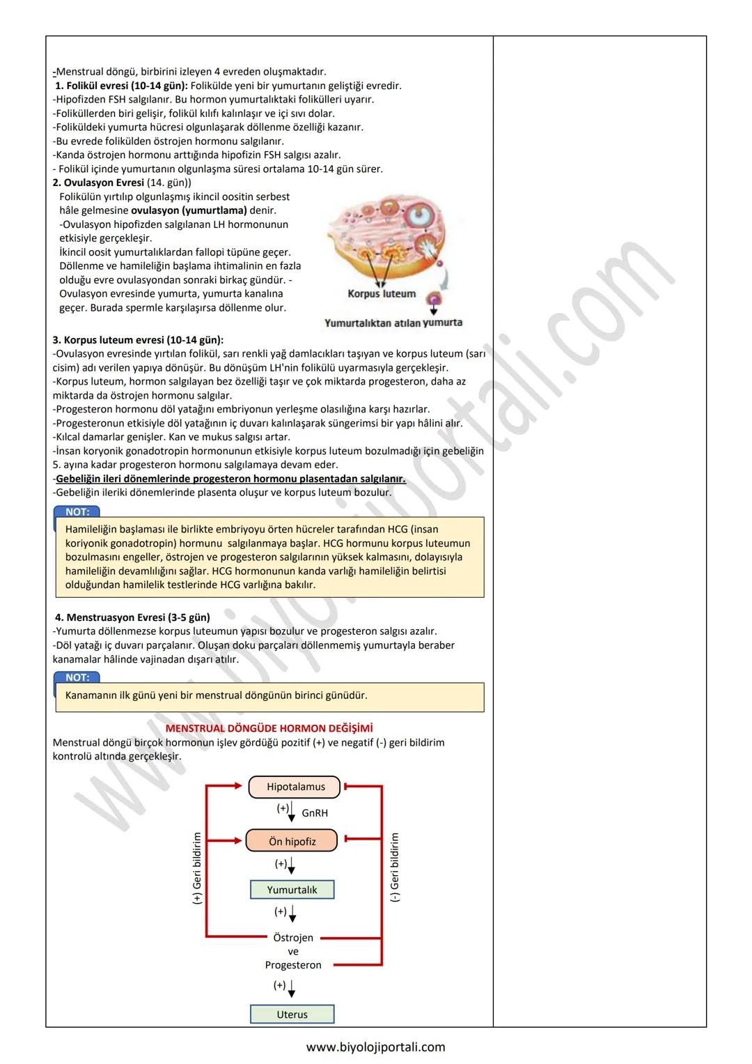 ÜREME SİSTEMİNİN GÖREV YAPI ve İŞLEYİŞİ
11. SINIF ÜNİTE, KONU, KAZANIM VE AÇIKLAMALARI
11.1.7. Üreme Sistemi ve Embriyonik Gelişim
Anahtar K