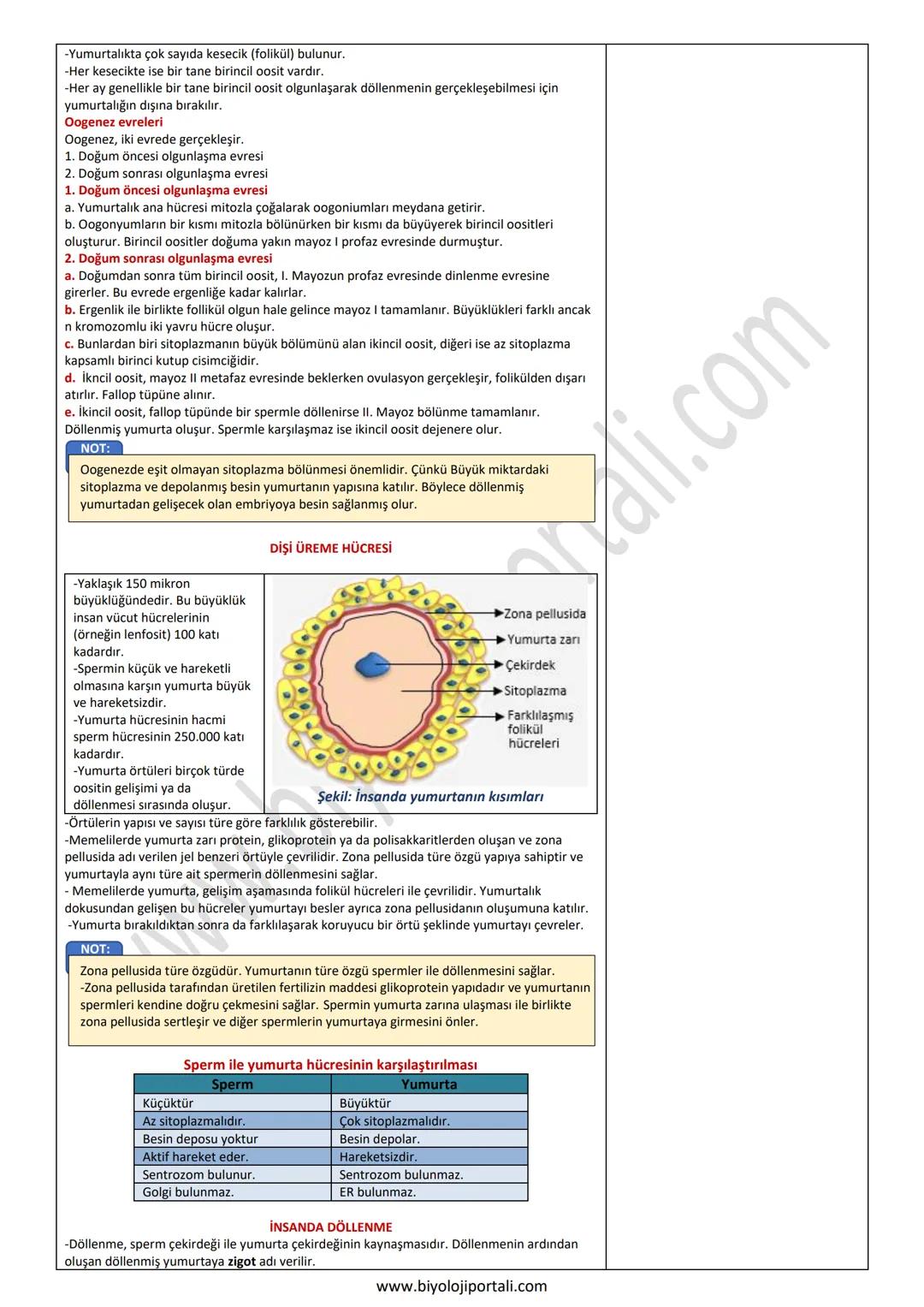 ÜREME SİSTEMİNİN GÖREV YAPI ve İŞLEYİŞİ
11. SINIF ÜNİTE, KONU, KAZANIM VE AÇIKLAMALARI
11.1.7. Üreme Sistemi ve Embriyonik Gelişim
Anahtar K