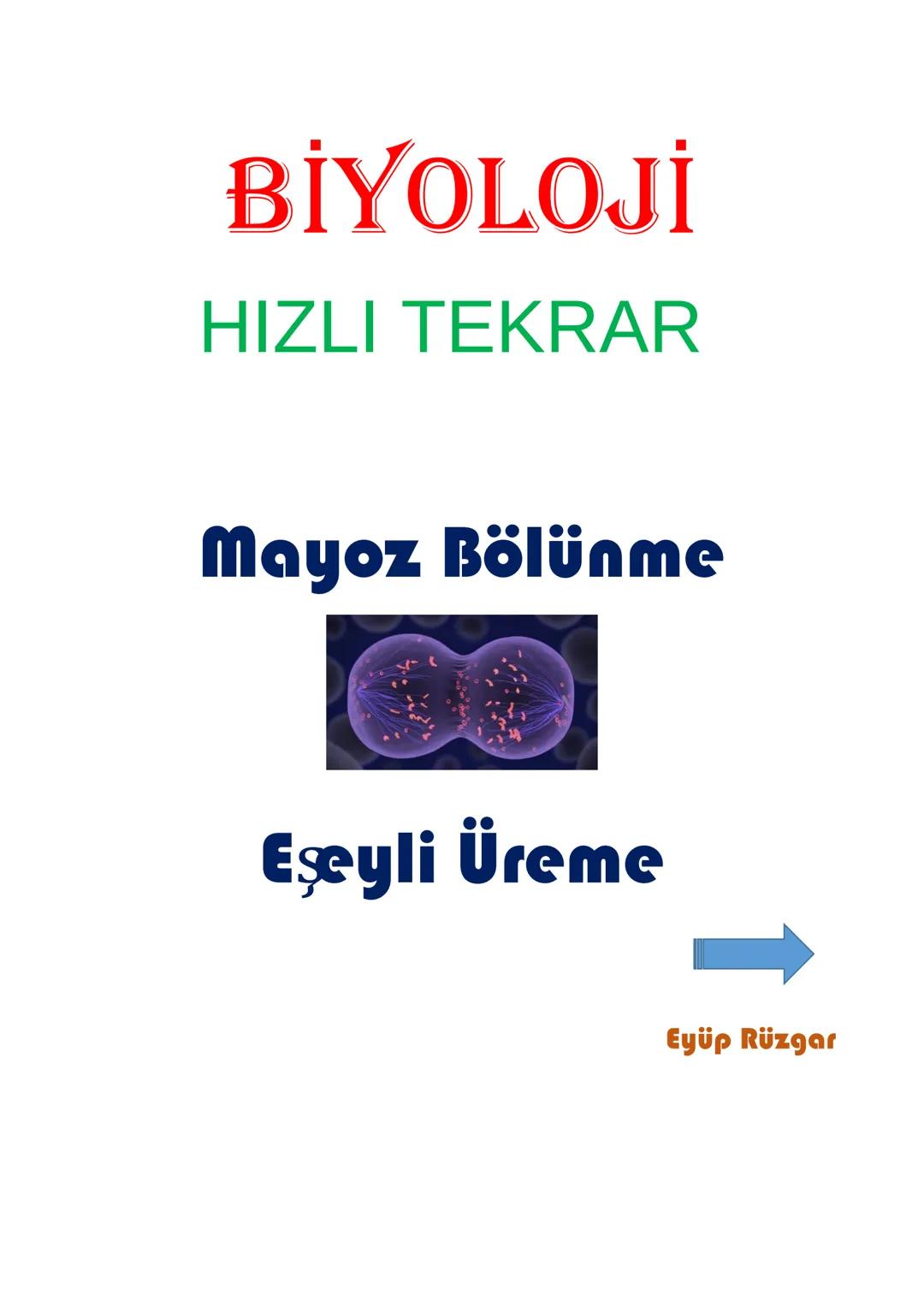 BİYOLOJİ
HIZLI TEKRAR
Canlıların Temel
Bileşenleri
Hücre
Eyüp Rüzgar BİYOLOJİ (TYT HIZLI TEKRAR)
Canlıların ortak özellikleri;
✓
Hücresel ya