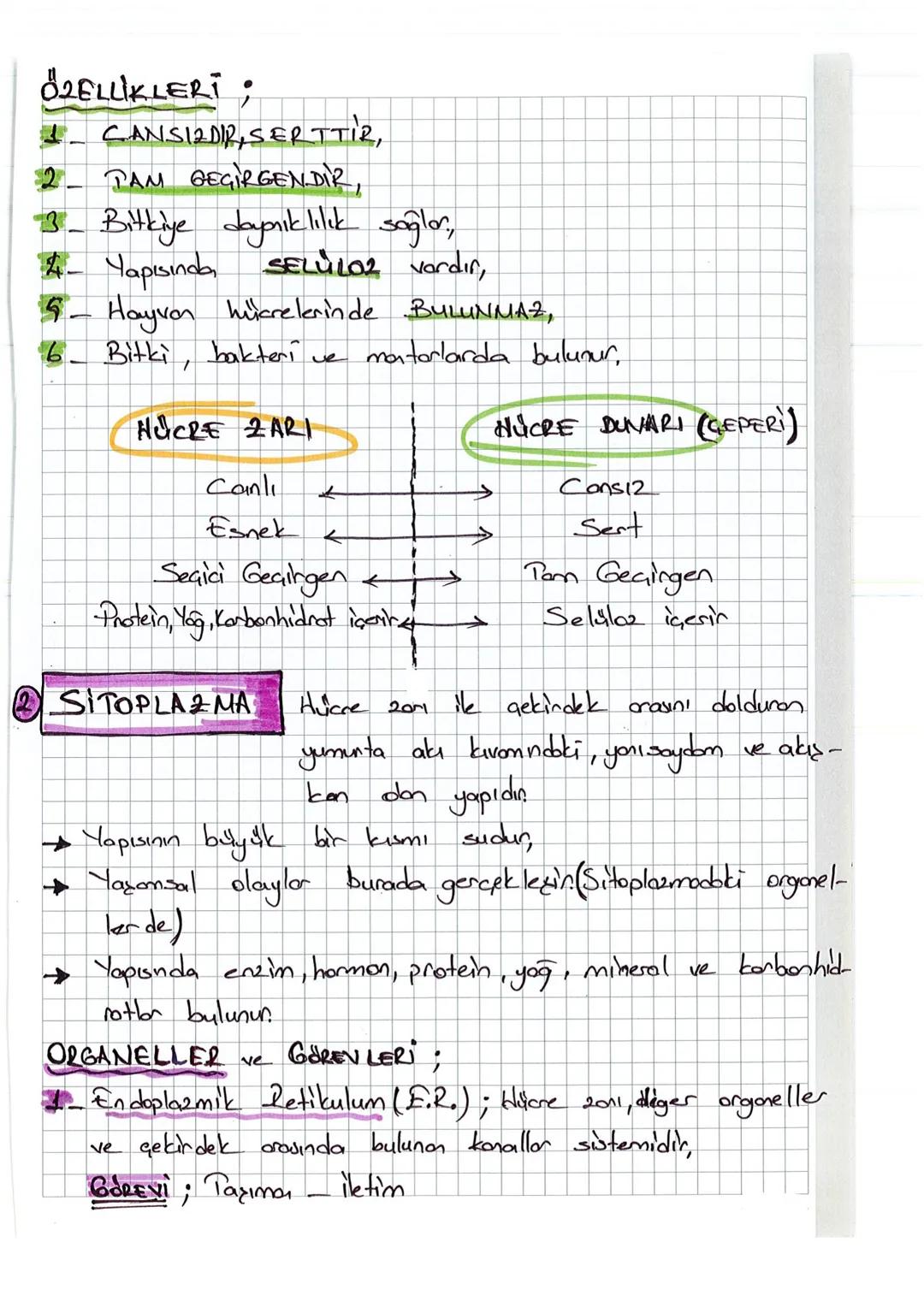 2. UNITE
1
HÜCRE VE BÖLÜNNELER
HÜCRE Canlılanın canlılık özelliği gösten
conlilik obelliği gösten en küçük
yapı birimine
birimine HÜCRE deni