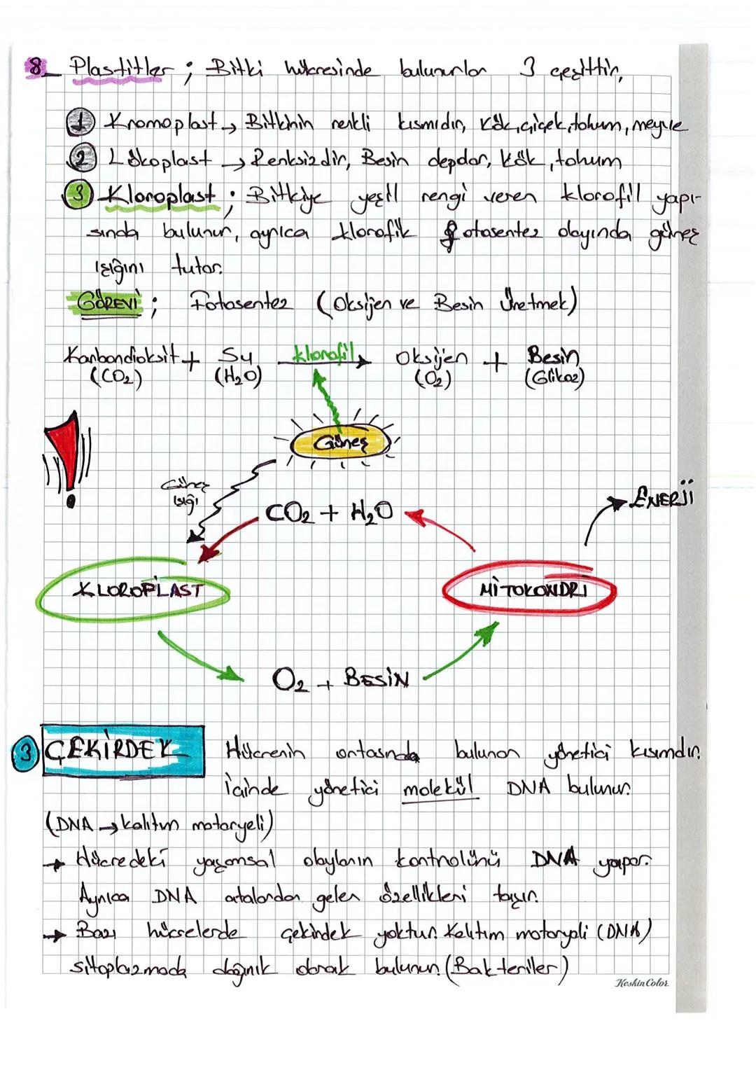 2. UNITE
1
HÜCRE VE BÖLÜNNELER
HÜCRE Canlılanın canlılık özelliği gösten
conlilik obelliği gösten en küçük
yapı birimine
birimine HÜCRE deni