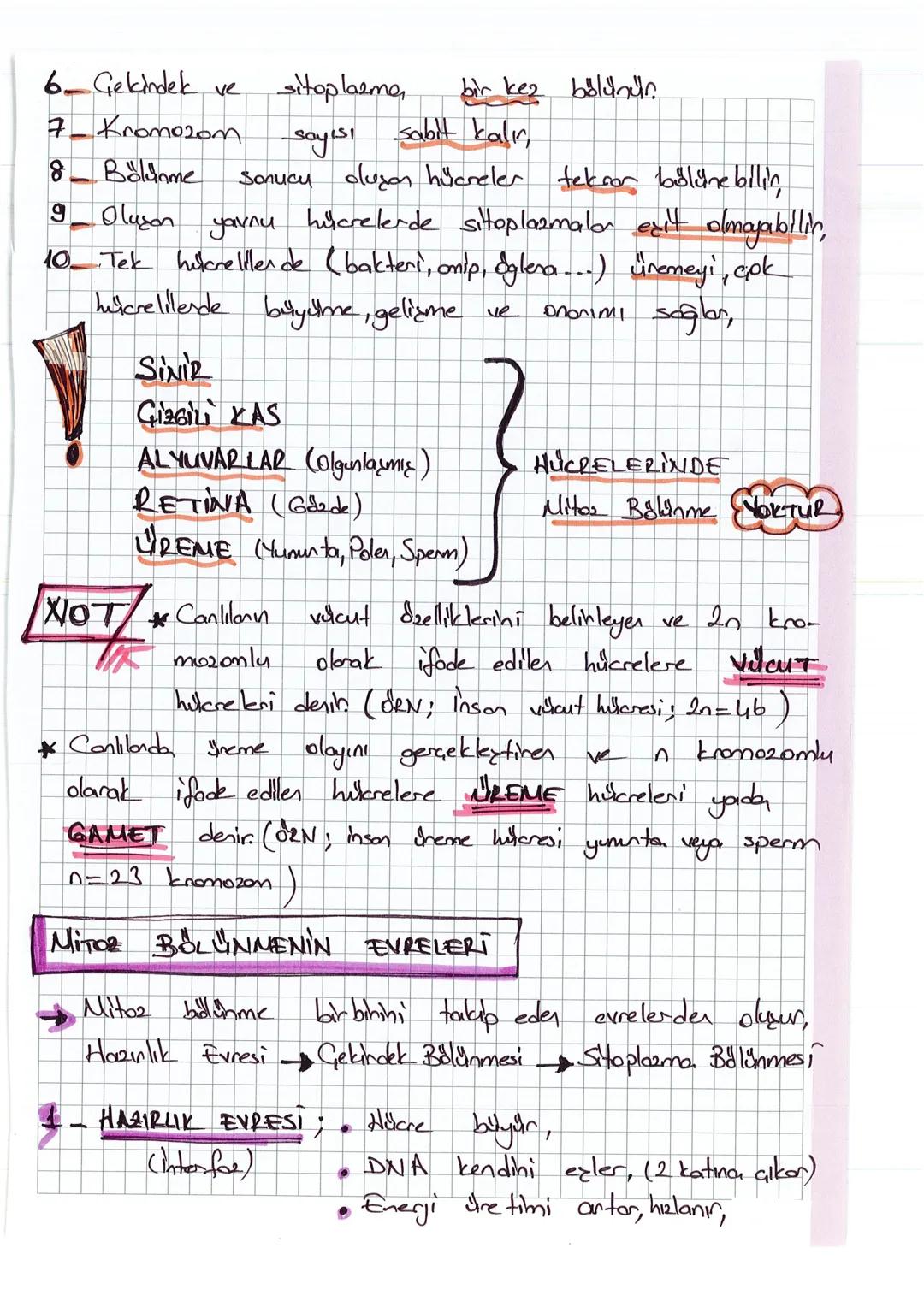 # HUCRE BOLÜNMELERİ
- Olgunlaşmış bar hücreder yeni hücrelerih duymasına
Hitere Bölünmesi dorin
- →Hücresin hacmi arttığında, çekirdek orga