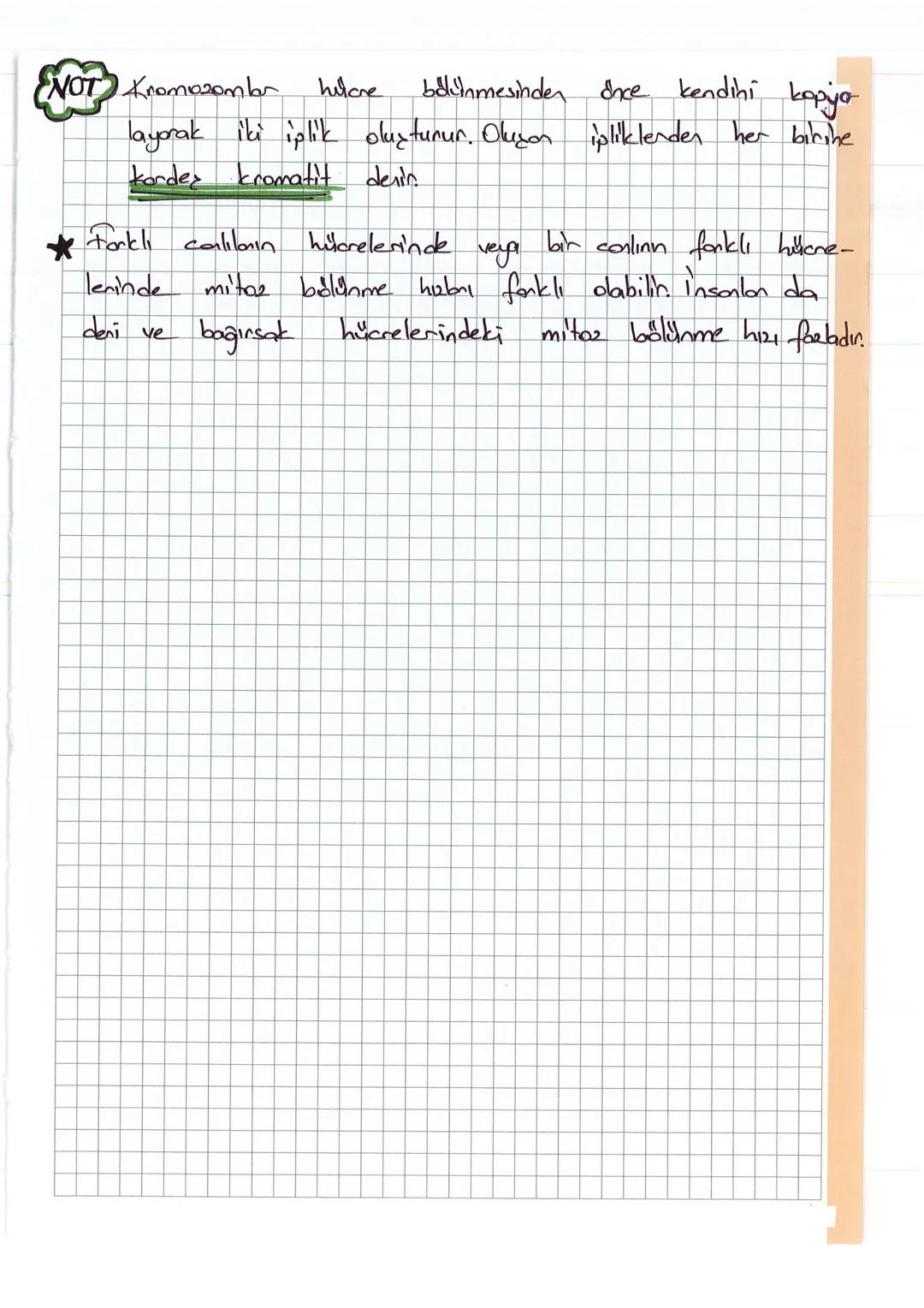 # HUCRE BOLÜNMELERİ
- Olgunlaşmış bar hücreder yeni hücrelerih duymasına
Hitere Bölünmesi dorin
- →Hücresin hacmi arttığında, çekirdek orga