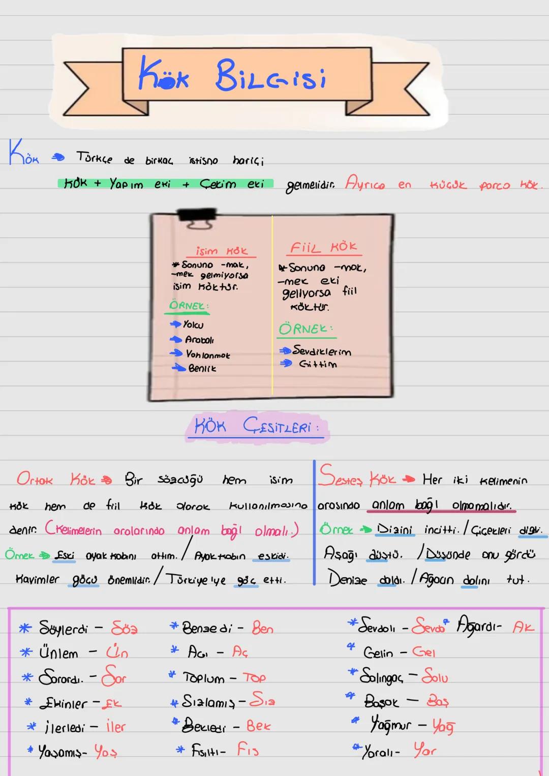 Kök Bilgisi
Kön
Türkçe de birkaç istisno hariçi
Kok + Yapım eki
+ Çekim eki
gelmelidir. Ayrıca
en
Küçük porco kök.
İsim Kök
*Sonuno -mak,
-m