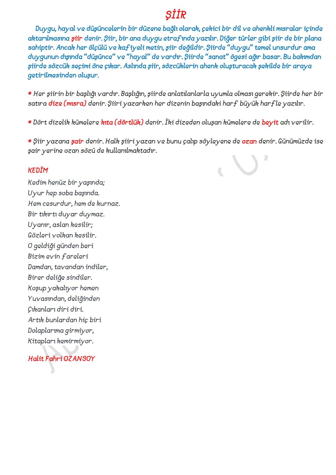 SÖZCÜKTE ANLAM
A. TEMEL (İLK) ANLAM
GERÇEK ANLAM
Bir sözcüğün akla elen ilk anlamıdır. Temel anlam, sözlükte ilk sırada yer alır; sözcüğün h