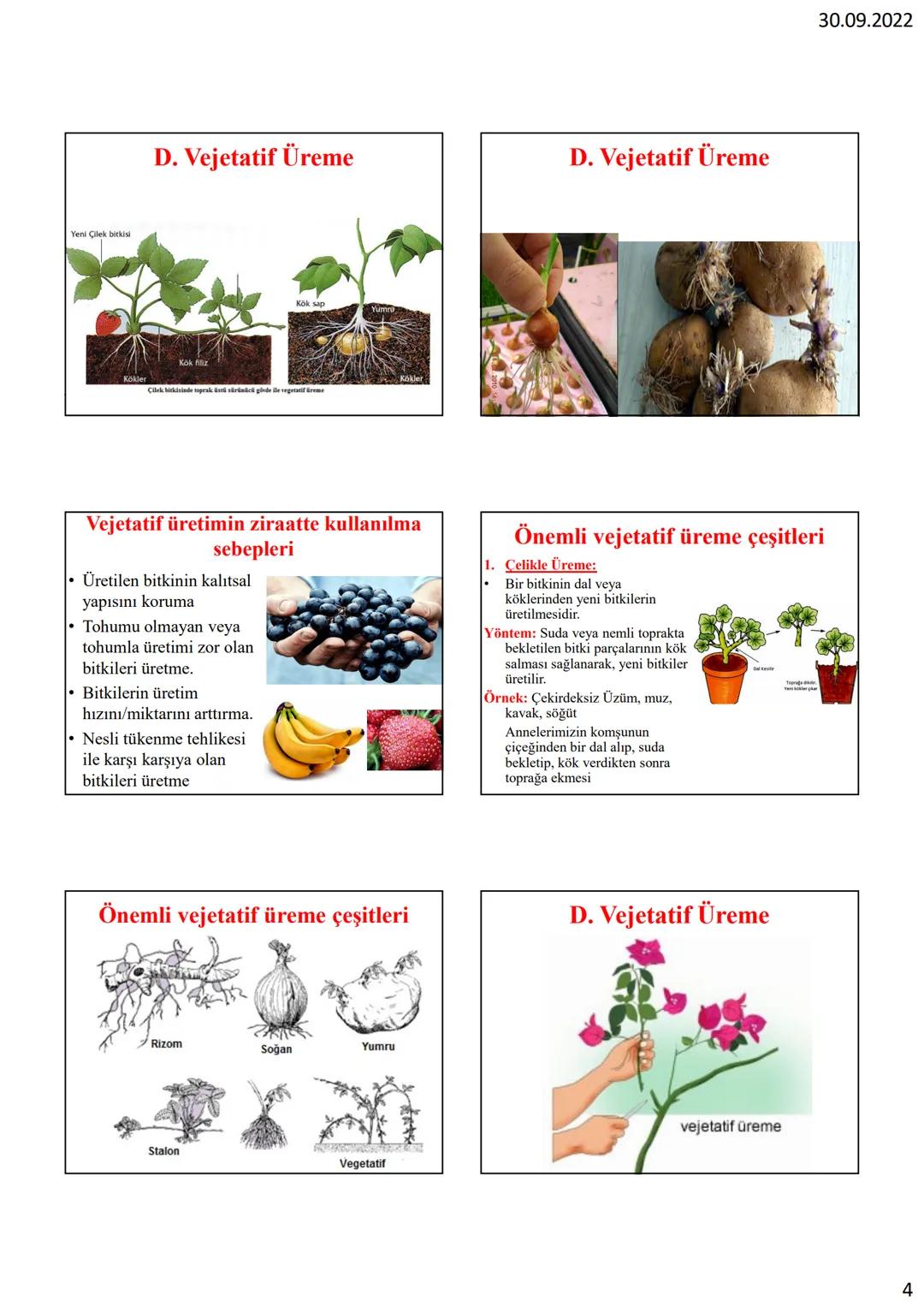 # EŞEYSİZ
# ÜREME
# ÜREME NEDİR?
Canlıların nesillerini devam
ettirebilmek için çoğalmasına
ÜREME denir.
Üreme bir canlının hayatta
kalmas