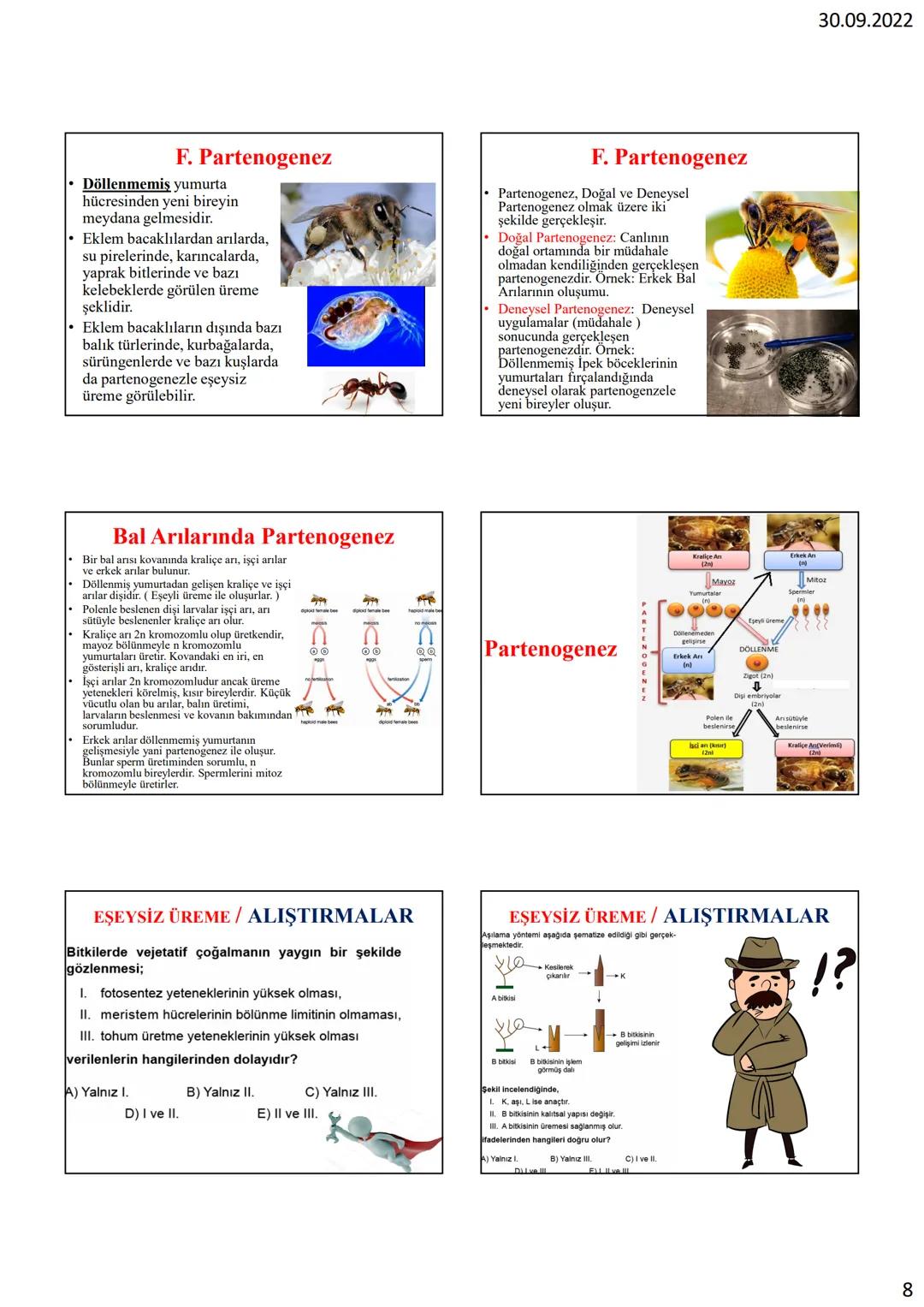 # EŞEYSİZ
# ÜREME
# ÜREME NEDİR?
Canlıların nesillerini devam
ettirebilmek için çoğalmasına
ÜREME denir.
Üreme bir canlının hayatta
kalmas