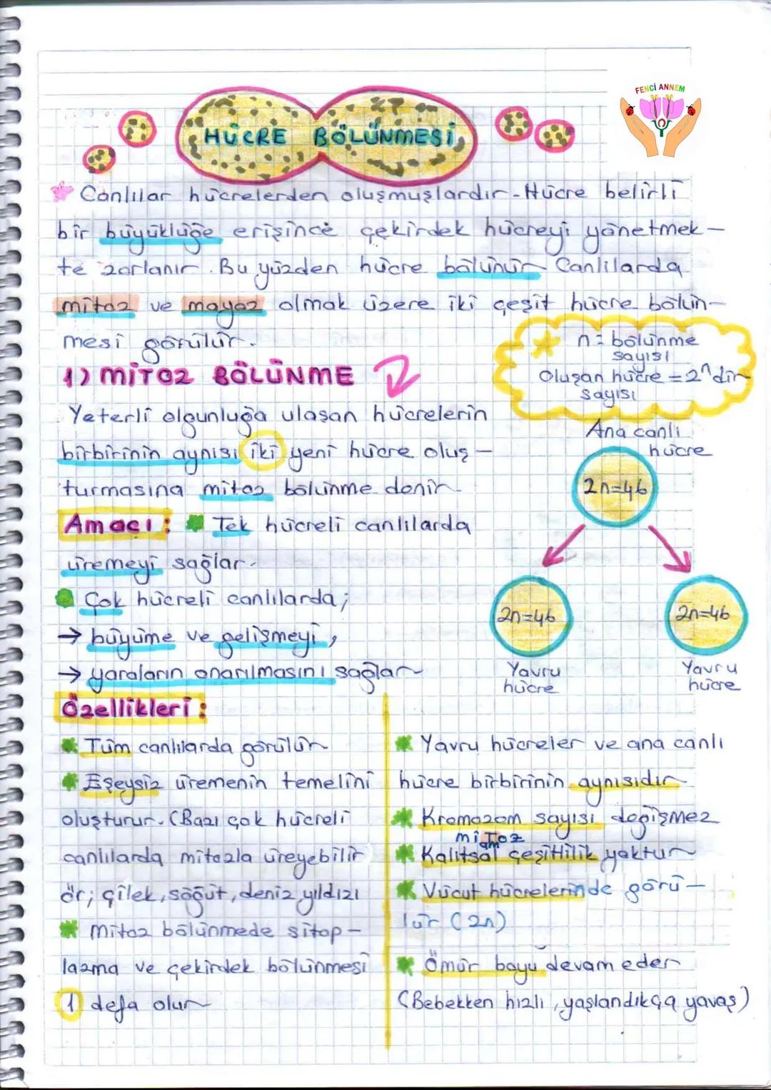 FENCI ANNEM
# HÜCRE BÖLÜNMESİ,
Canlılar huerelerden oluşmuşlardır - Hücre belirli
bir büyüklûçe erişince çekirdek hücreyi yönetmek -
te z