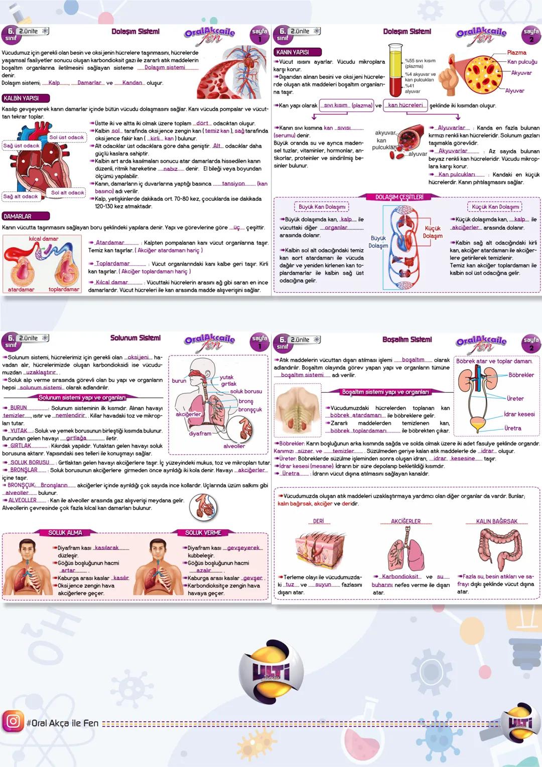 6.SINIF
FEN BİLİMLERİ
OralAKÇA'nın notları ile
KASIM
ARA
TEKRAR 6. Lünite
# 1.ÜNİTE GÜNEŞ SİSTEMİ VE GEZEGENLER
Güneş Sistemi ve Tutulmala