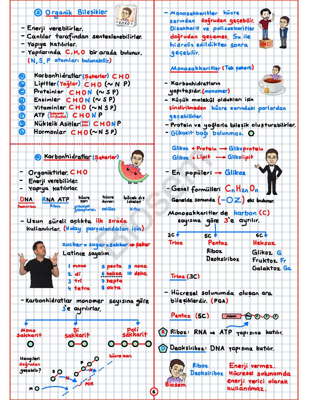 Karbonhidratlar ders notu