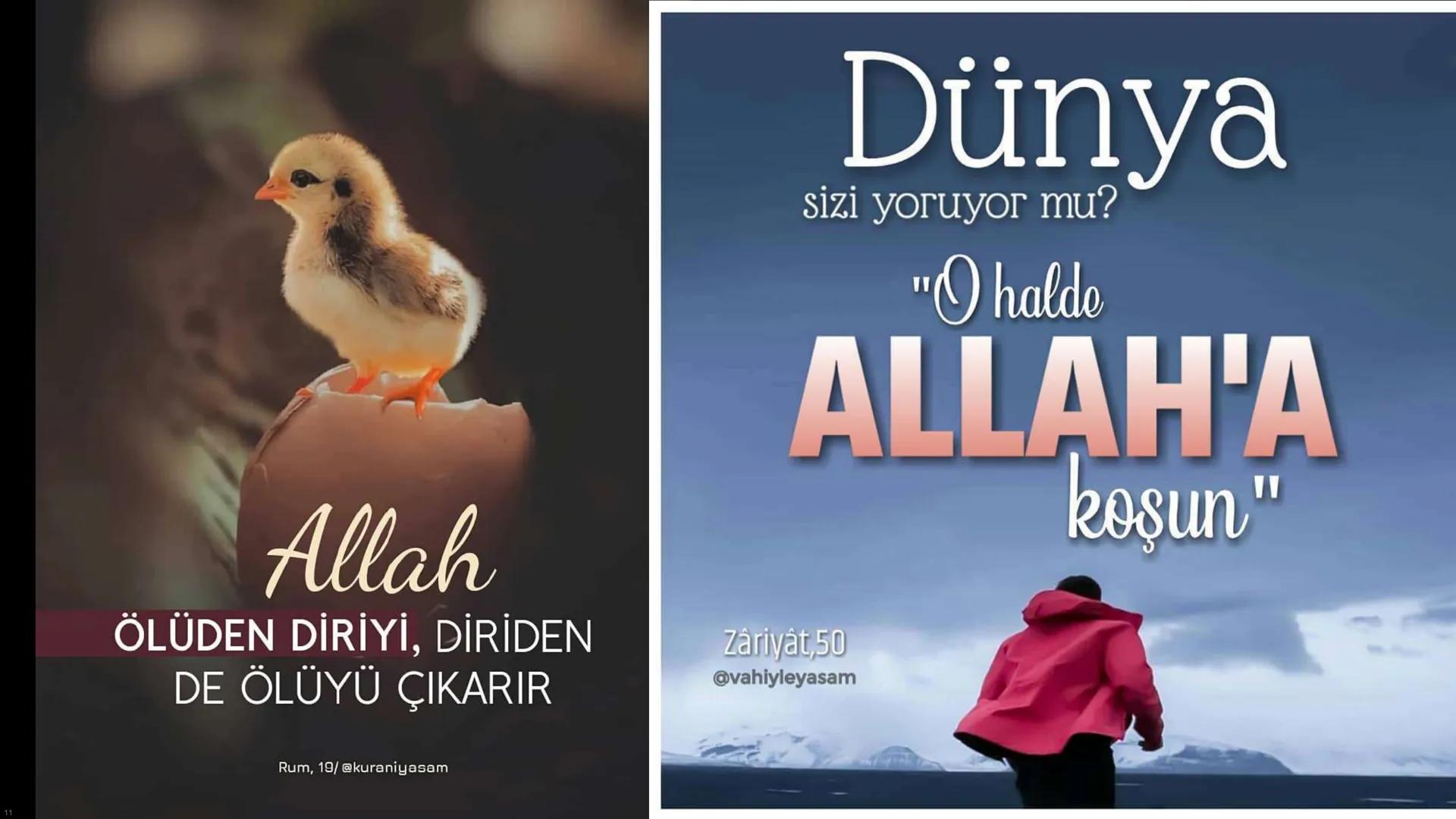 # Ders: Din Kültürü ve Ahlak Bilgisi
# Ünite: I - Dünya ve Ahiret
## Başlıklar:
* Varoluşun ve Hayatın Anlamı
* Ahiret Âlemi
* Ahirete Uğu