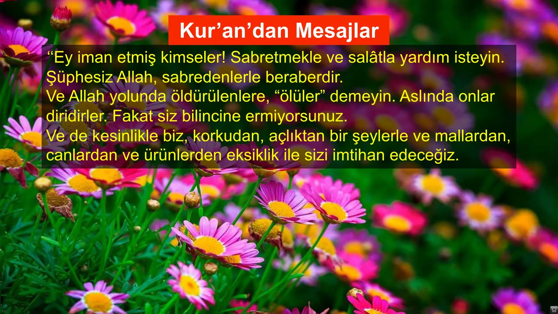 # Ders: Din Kültürü ve Ahlak Bilgisi
# Ünite: I - Dünya ve Ahiret
## Başlıklar:
* Varoluşun ve Hayatın Anlamı
* Ahiret Âlemi
* Ahirete Uğu