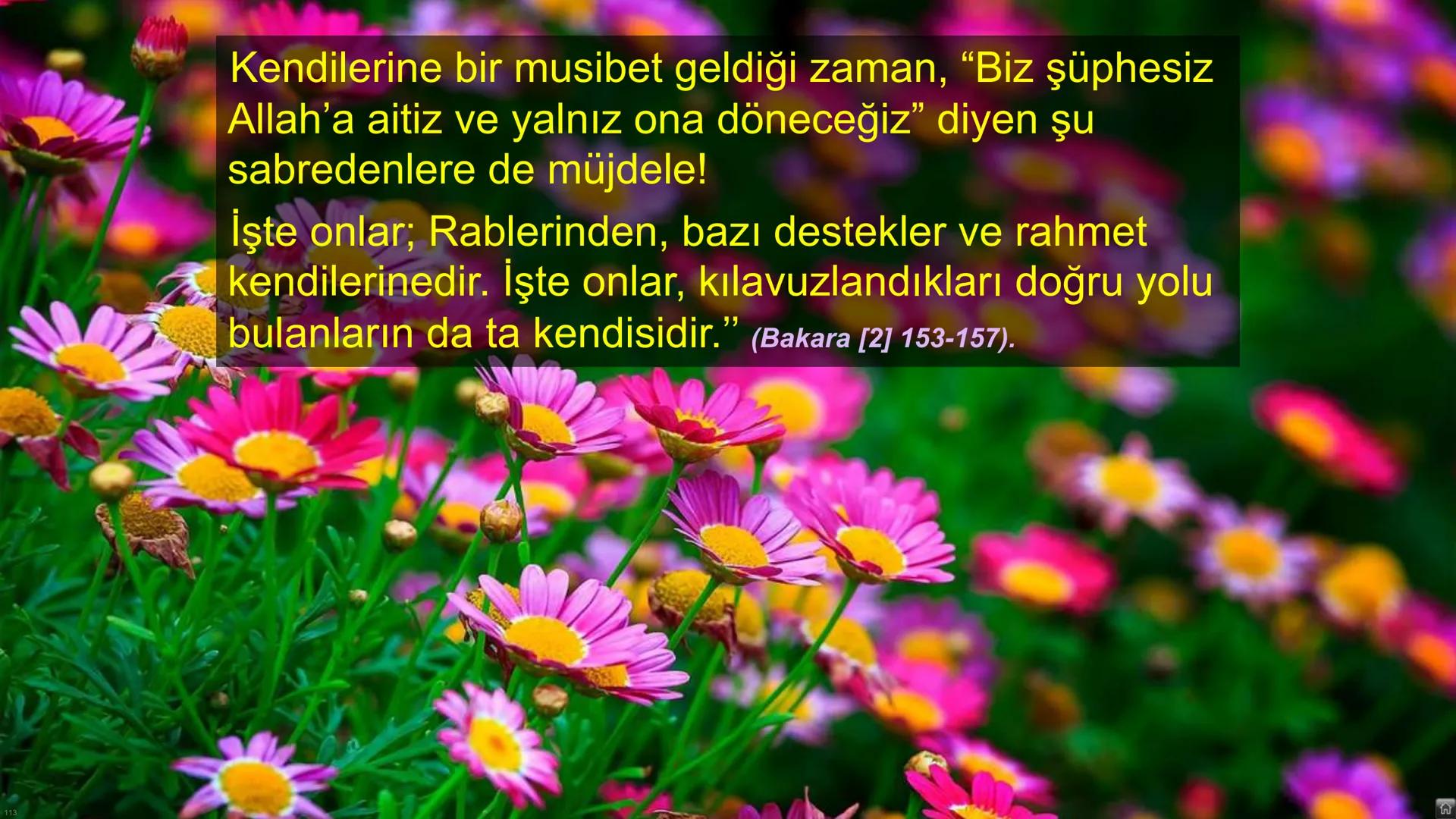 # Ders: Din Kültürü ve Ahlak Bilgisi
# Ünite: I - Dünya ve Ahiret
## Başlıklar:
* Varoluşun ve Hayatın Anlamı
* Ahiret Âlemi
* Ahirete Uğu