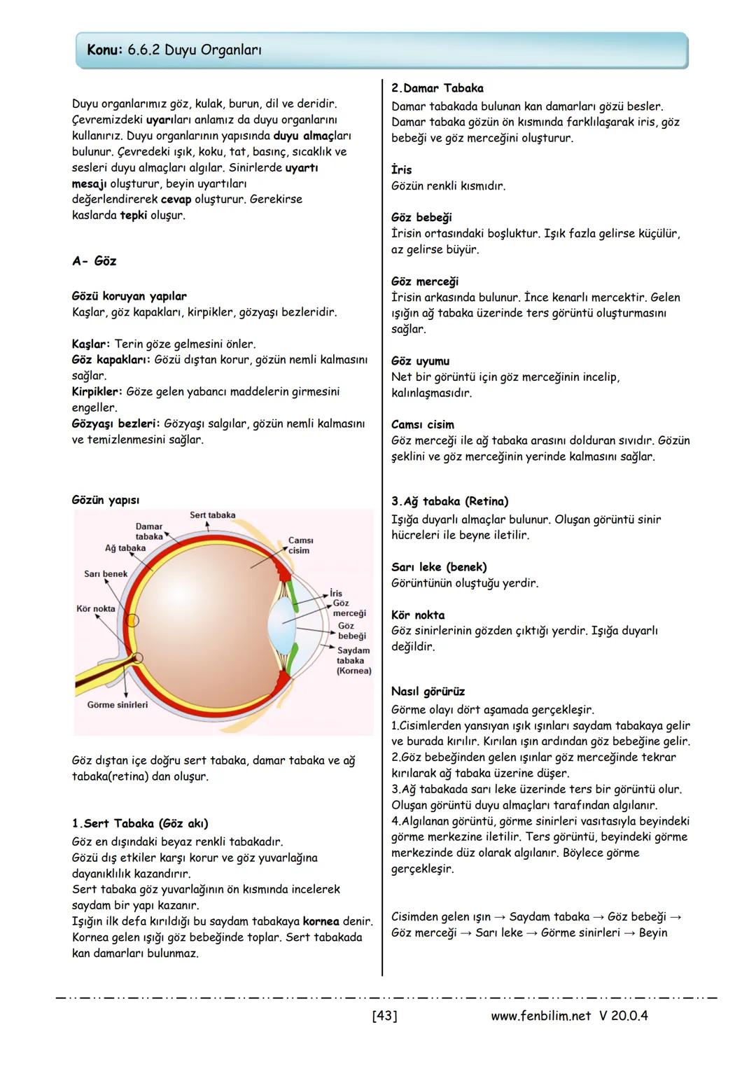 6.Sınıf Fen Bilimleri
Ders Notları
Barış ZEREN
Fen Bilimleri Öğretmeni 1.Ünite: Güneş Sistemi ve Tutulmalar
Konu: 6.1.1 Güneş Sistemi
Güneş