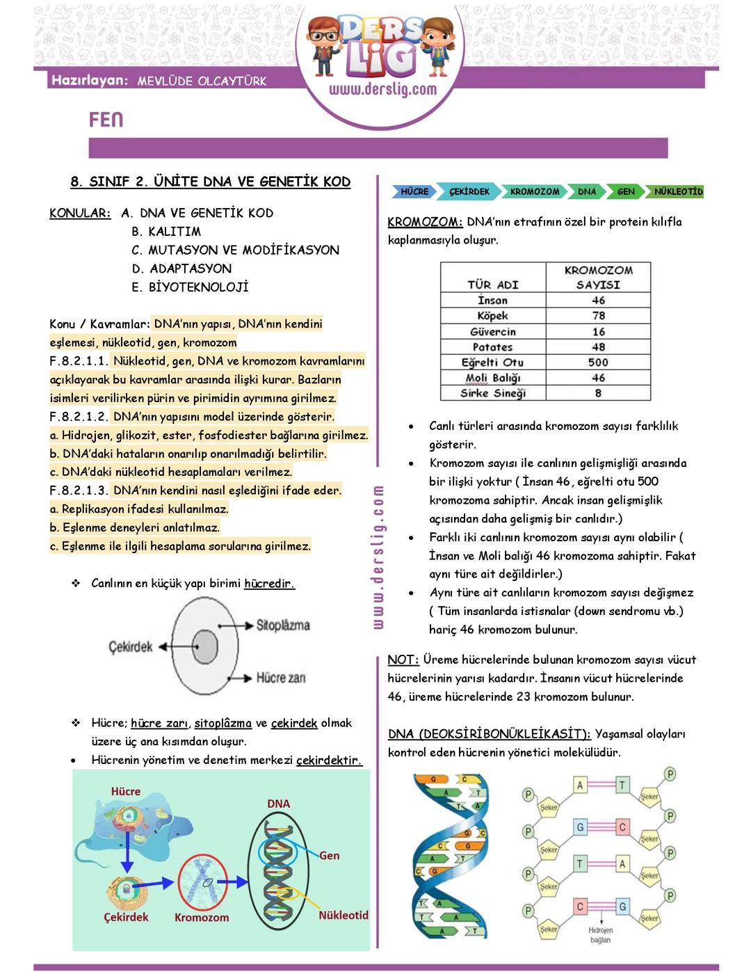 DNA VE GENETİK KOD KONU ANLATIMI