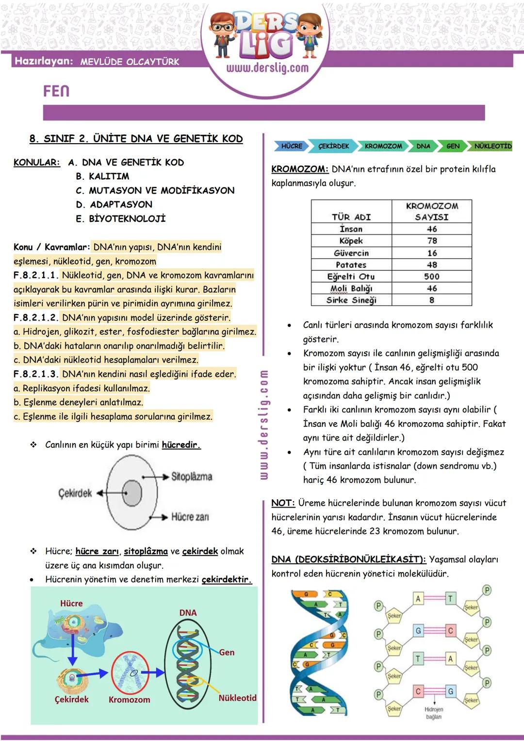 Hazırlayan: MEVLÜDE OLCAYTÜRK
FEN
DERSO
LIG
www.derslig.com
8. SINIF 2. ÜNİTE DNA VE GENETİK KOD
KONULAR: A. DNA VE GENETİK KOD
B. KALITIM
C