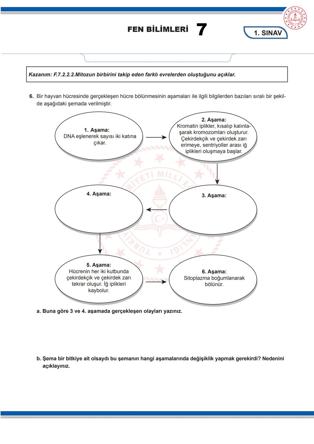 # FEN BİLİMLERİ 7
7. SINIF FEN BİLİMLERİ DERSİ
1. DÖNEM 1. ORTAK YAZILI SENARYOLARINA YÖNELİK SORU ÖRNEKLERİ
Senaryolar, okul genelinde y