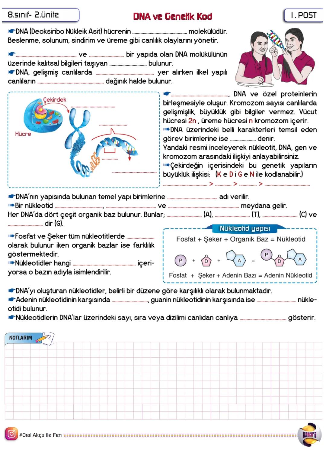 8.sınıf-2.Ünite
DNA ve Genelik Kod
I. POST
molekülüdür.
DNA (Deoksiribo Nükleik Asit) hücrenin.
Beslenme, solunum, sindirim ve üreme gibi ca