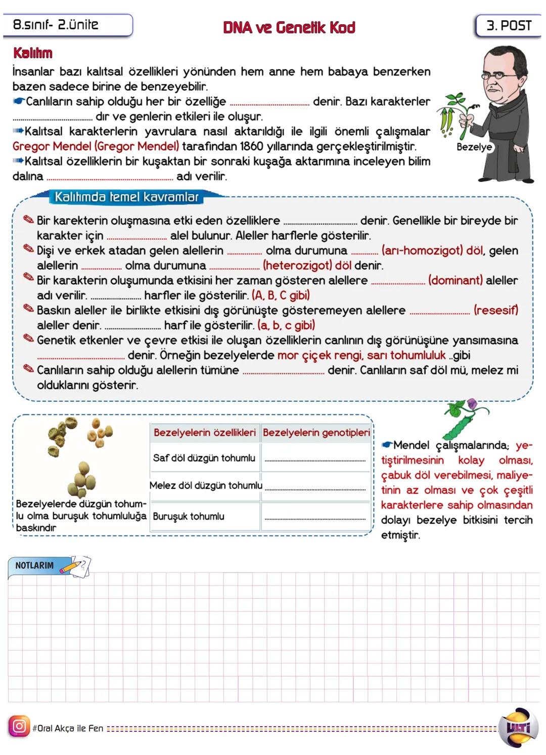 8.sınıf-2.Ünite
DNA ve Genelik Kod
I. POST
molekülüdür.
DNA (Deoksiribo Nükleik Asit) hücrenin.
Beslenme, solunum, sindirim ve üreme gibi ca