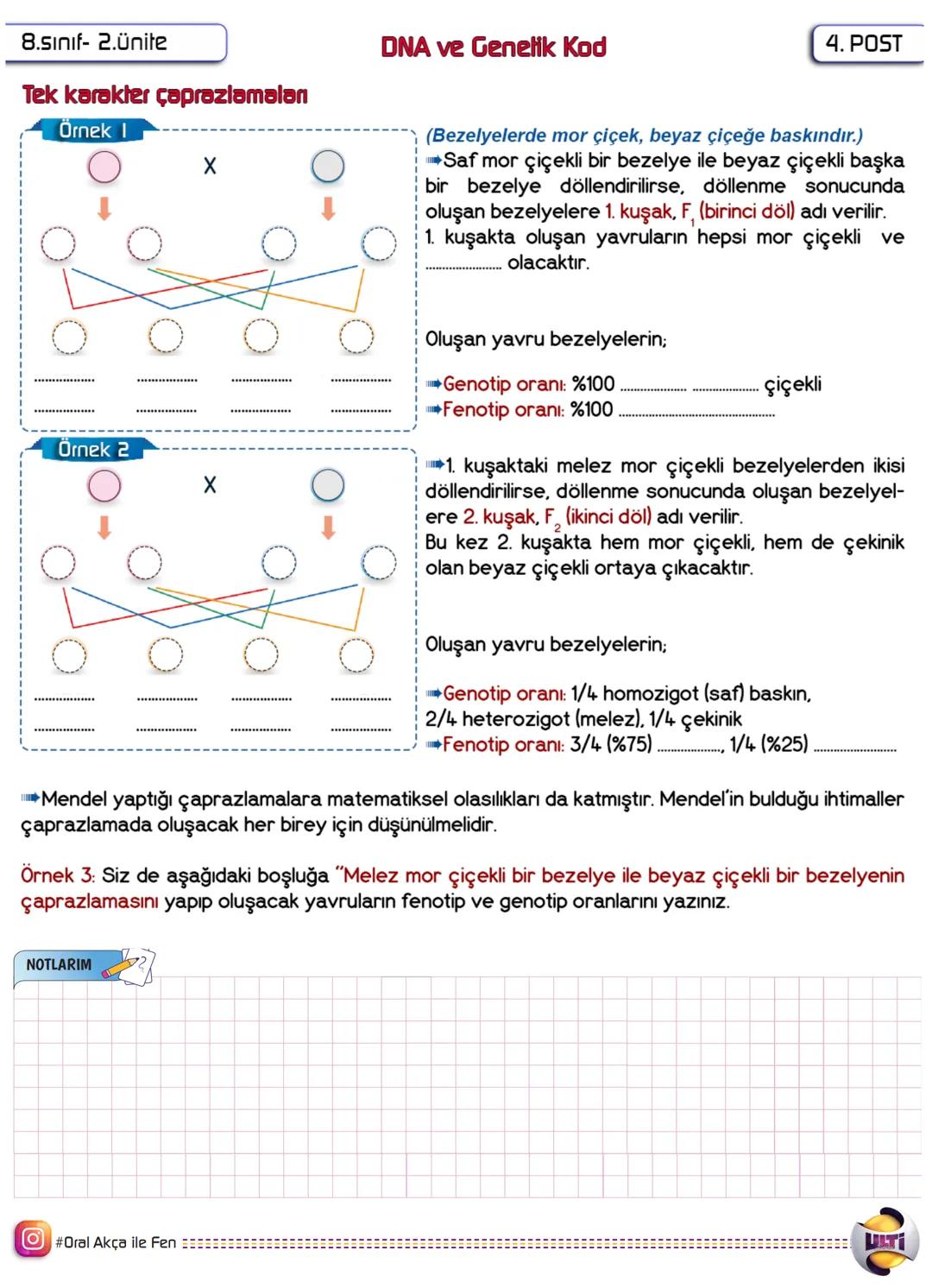 8.sınıf-2.Ünite
DNA ve Genelik Kod
I. POST
molekülüdür.
DNA (Deoksiribo Nükleik Asit) hücrenin.
Beslenme, solunum, sindirim ve üreme gibi ca