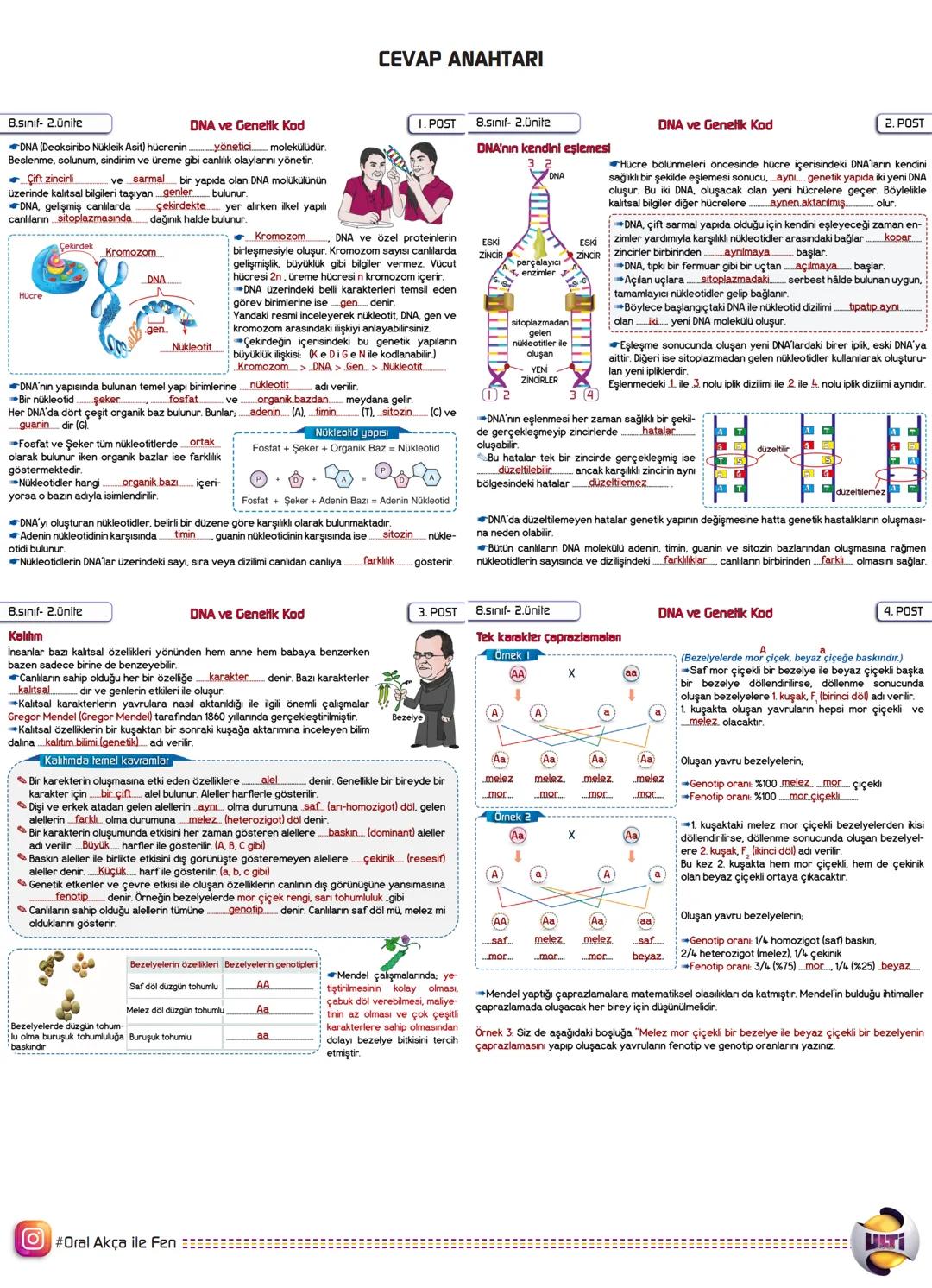 8.sınıf-2.Ünite
DNA ve Genelik Kod
I. POST
molekülüdür.
DNA (Deoksiribo Nükleik Asit) hücrenin.
Beslenme, solunum, sindirim ve üreme gibi ca