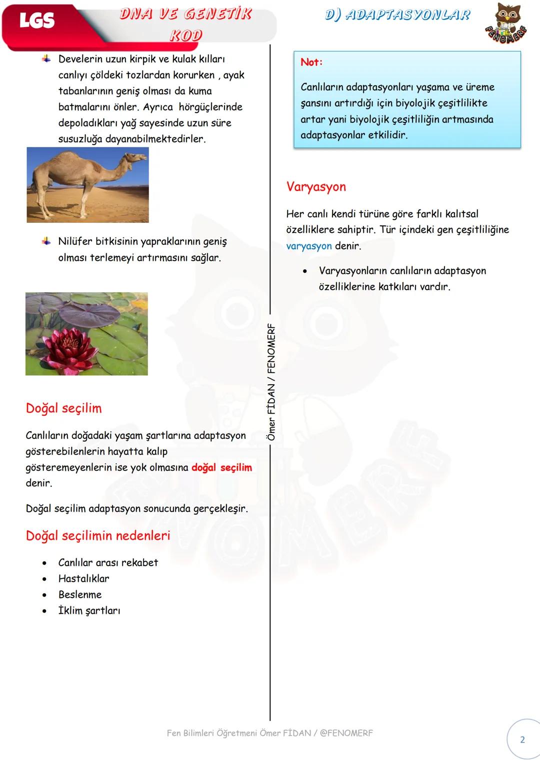 # LGS
DNA VE GENETIK
KOD
D) ADAPTASYONLAR
Adaptasyon
Canlıların belirli çevre koşullarında yaşama ve
çoğalma şansını artıran kalıtsal öze