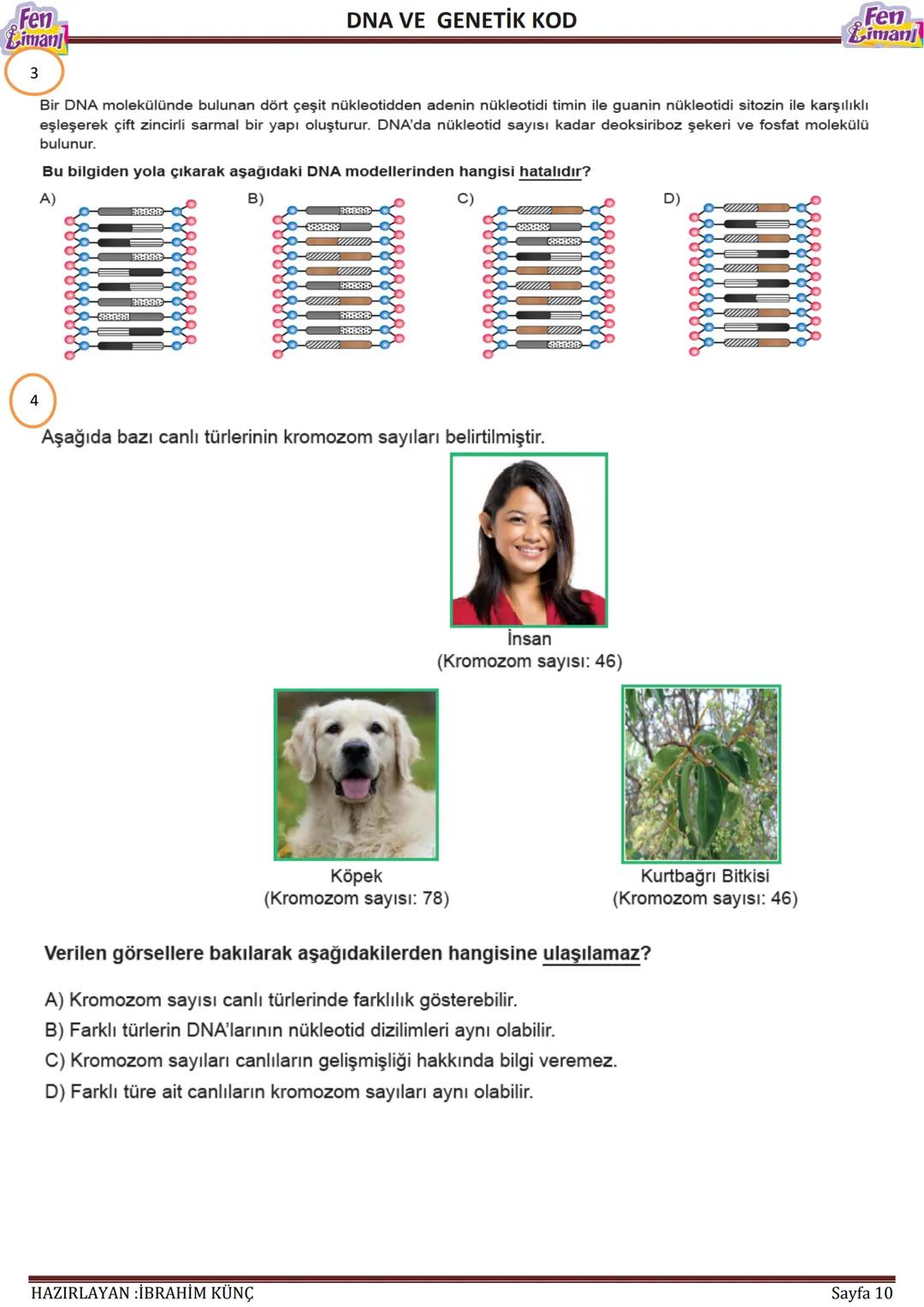 Fen
Limani
Dna ve Genetik Kod
DNA VE GENETİK
KOD
Konu / Kavramlar: DNA'nın yapısı, DNA'nın kendini eşlemesi, nükleotid, gen, kromozom
F.8.2.