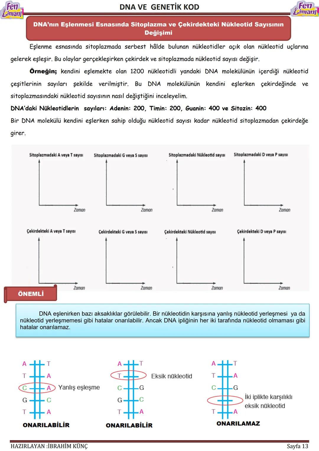 Fen
Limani
Dna ve Genetik Kod
DNA VE GENETİK
KOD
Konu / Kavramlar: DNA'nın yapısı, DNA'nın kendini eşlemesi, nükleotid, gen, kromozom
F.8.2.