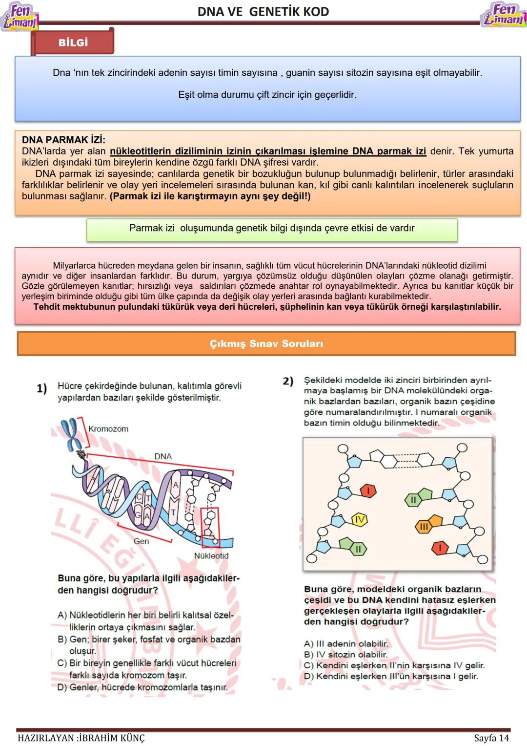 Fen
Limani
Dna ve Genetik Kod
DNA VE GENETİK
KOD
Konu / Kavramlar: DNA'nın yapısı, DNA'nın kendini eşlemesi, nükleotid, gen, kromozom
F.8.2.