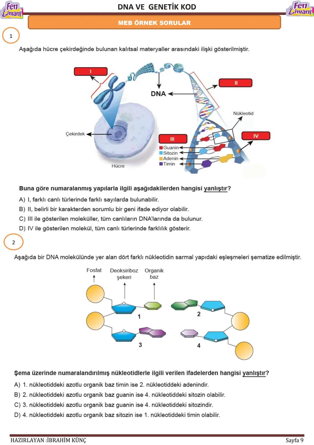 Fen
Limani
Dna ve Genetik Kod
DNA VE GENETİK
KOD
Konu / Kavramlar: DNA'nın yapısı, DNA'nın kendini eşlemesi, nükleotid, gen, kromozom
F.8.2.