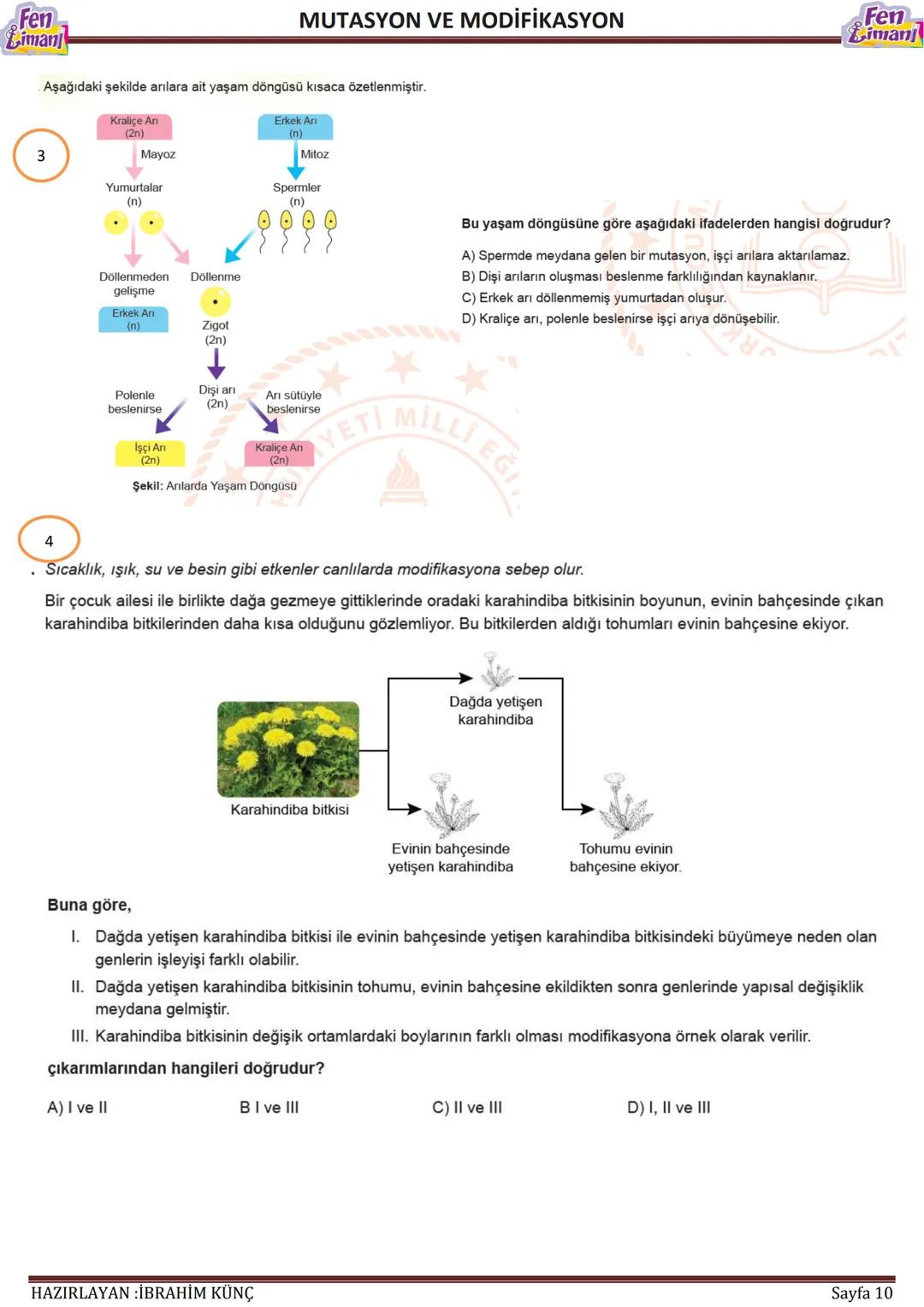 Fen
Liman
# MUTASYON VE MODİFİKASYON
# MUTASYON
## VE
# MODİFİKASYON
Konu / Kavramlar: Mutasyon, modifikasyon
F.8.2.3.1. Örneklerden yo