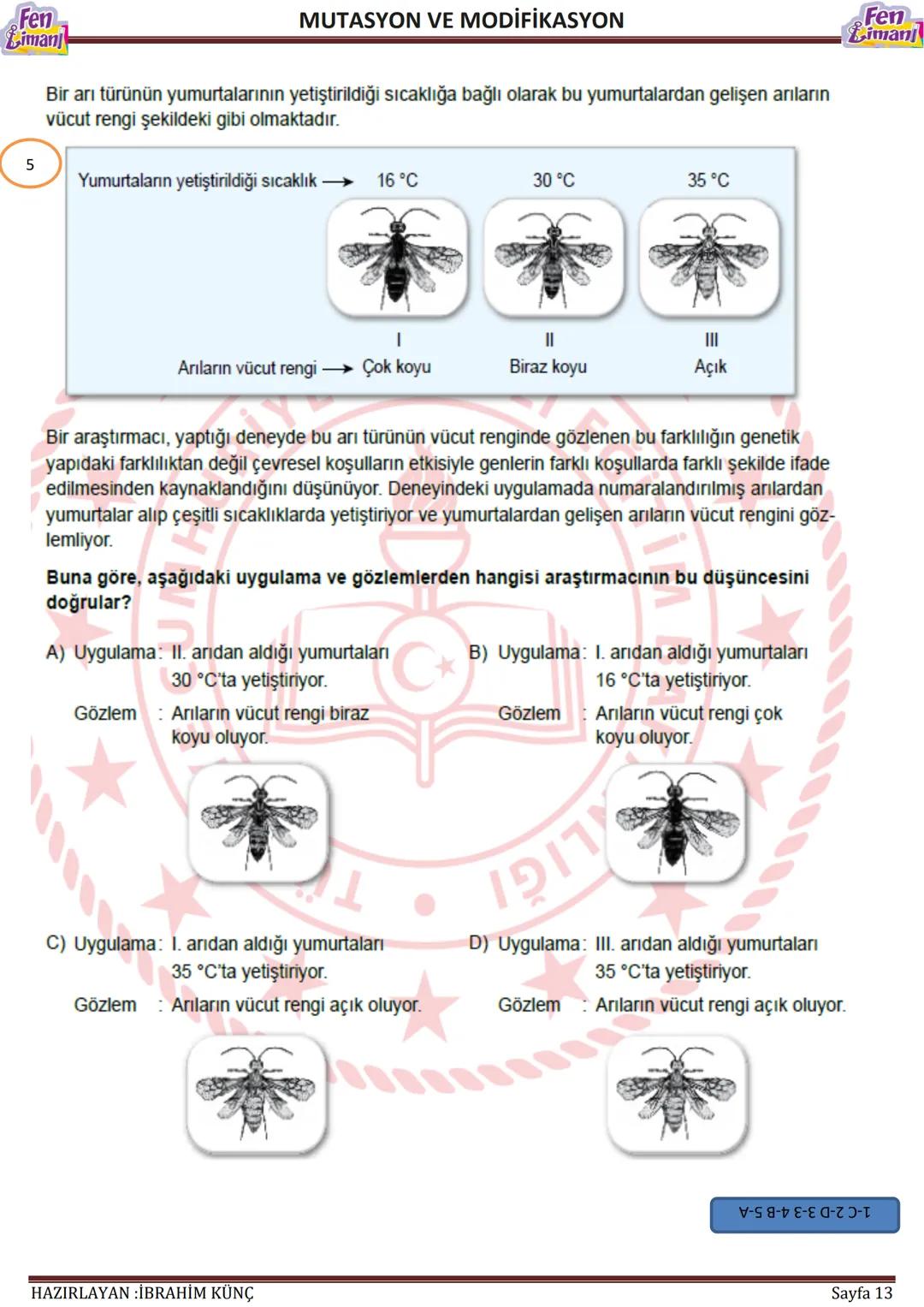 Fen
Liman
# MUTASYON VE MODİFİKASYON
# MUTASYON
## VE
# MODİFİKASYON
Konu / Kavramlar: Mutasyon, modifikasyon
F.8.2.3.1. Örneklerden yo